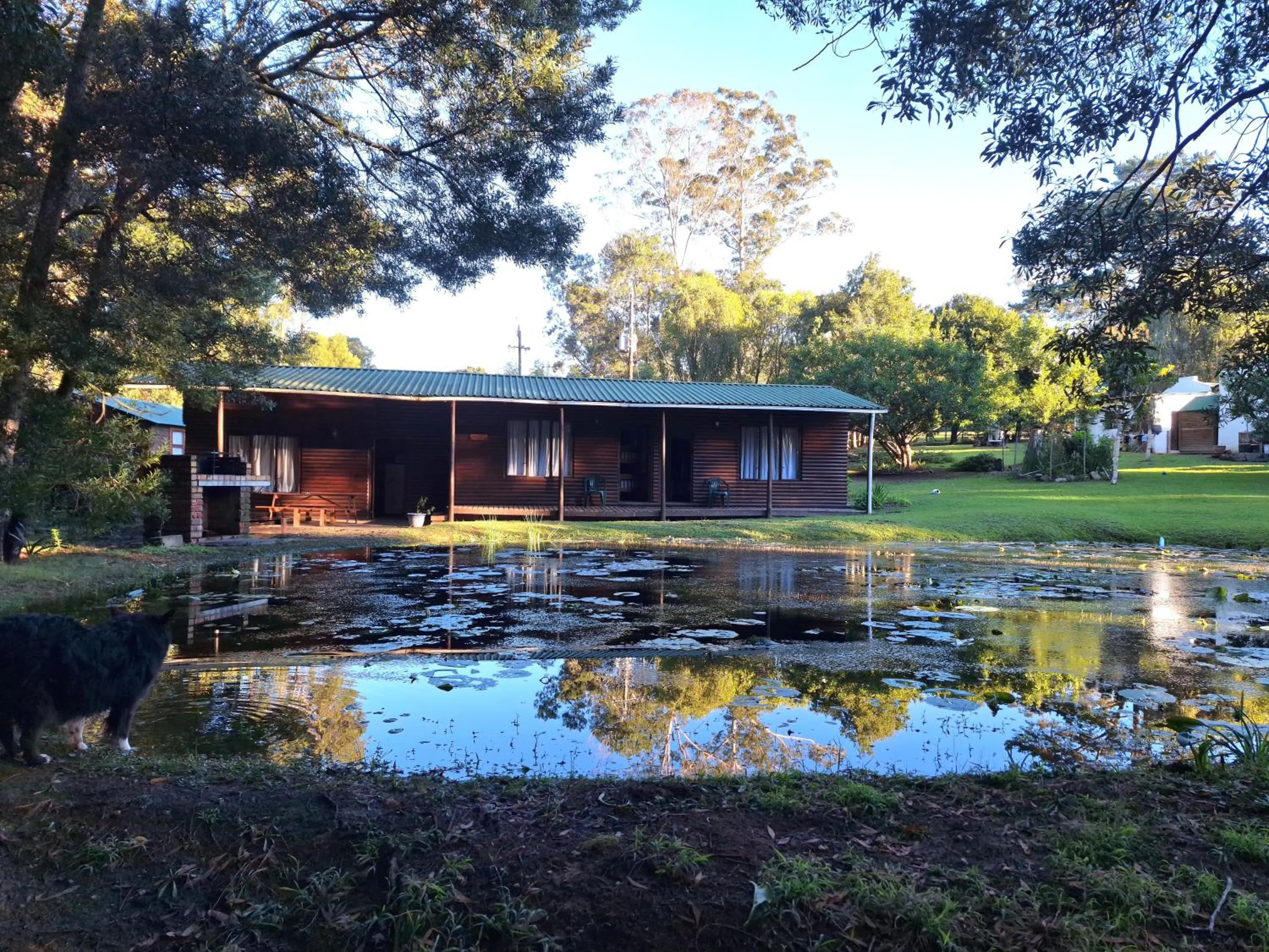 Plett Forest Cabins