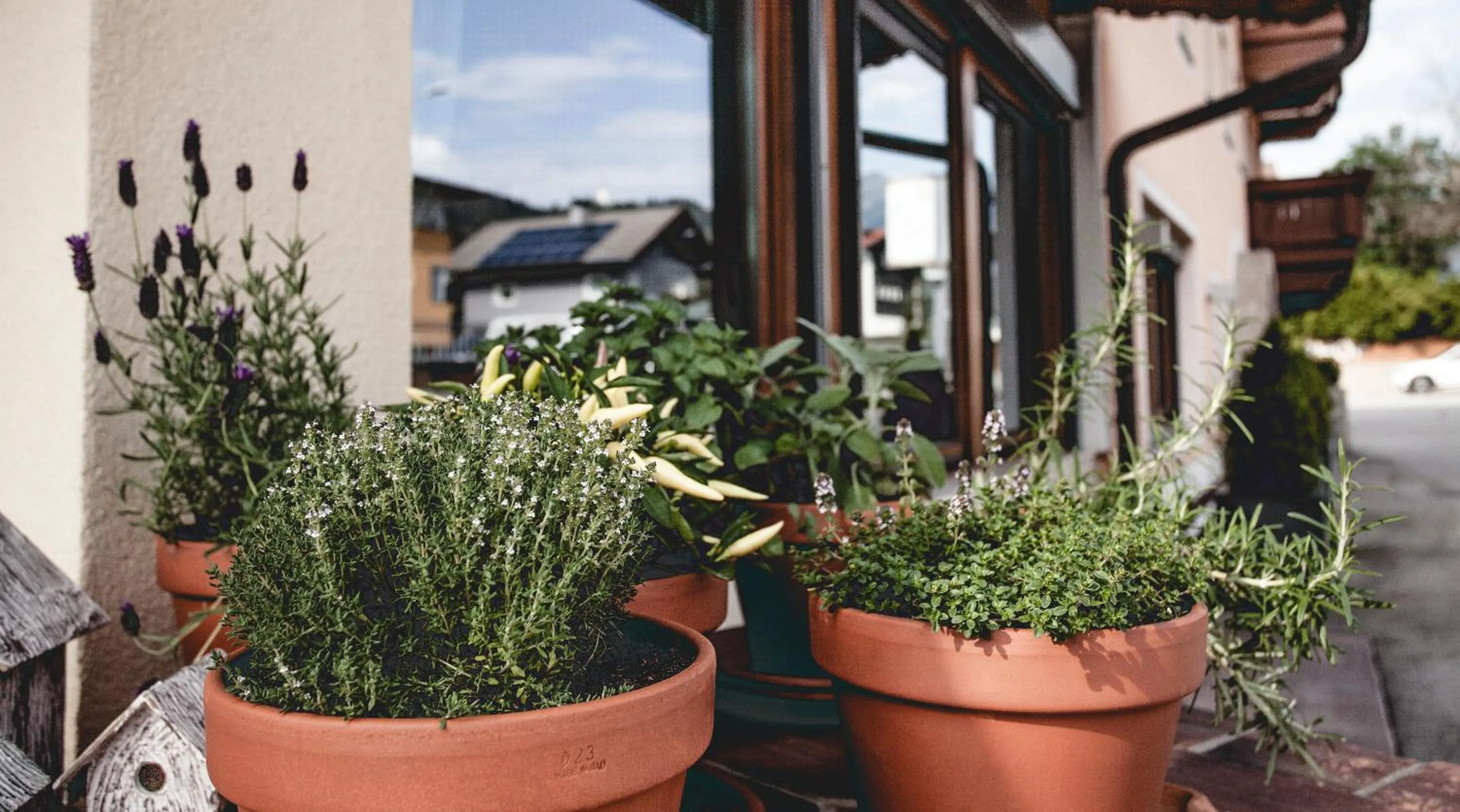 Facade/entrance in Gasthof Schmalzerhof
