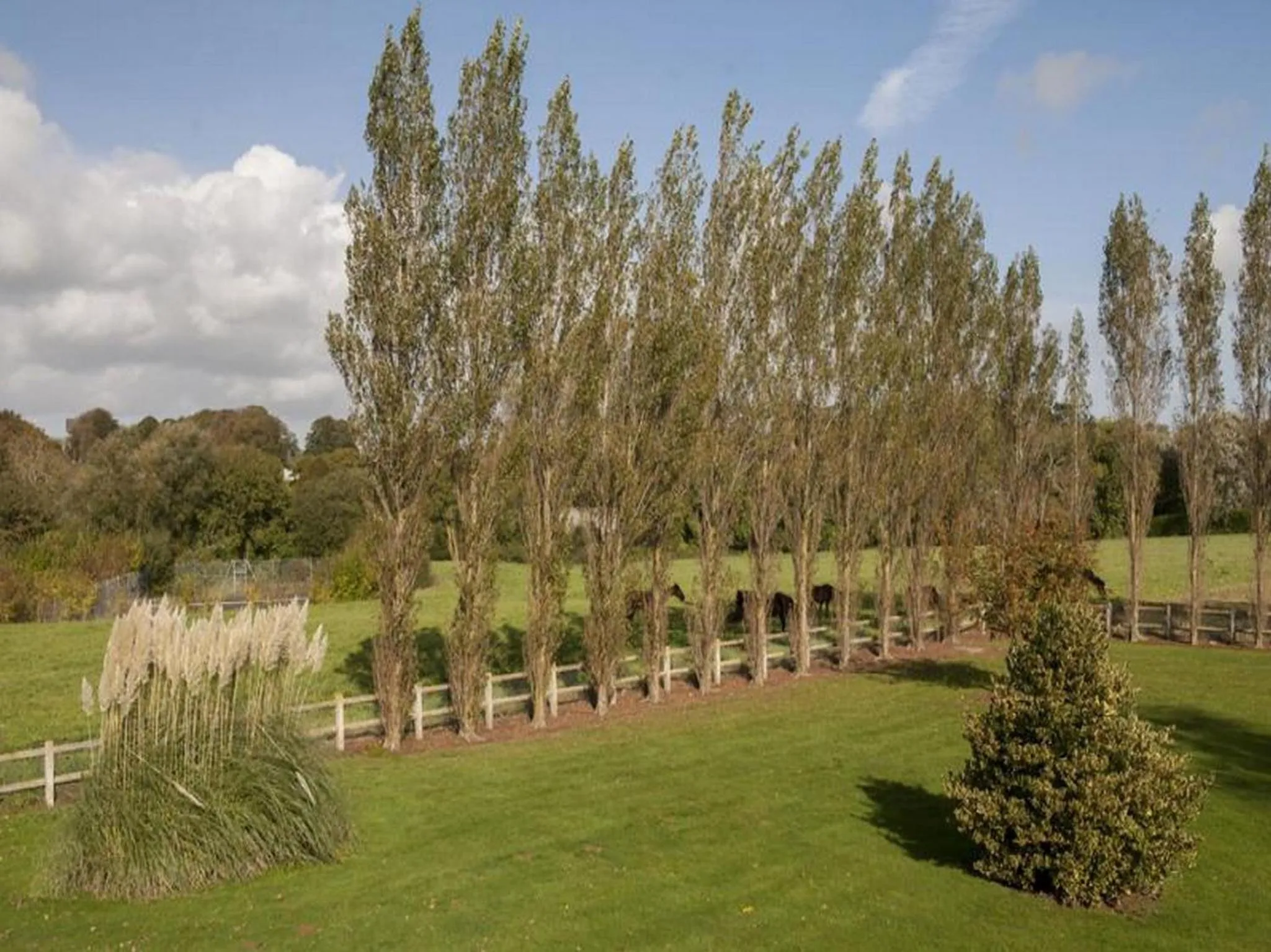 Garden in Logis Hôtel Restaurant Le Sainte Mère