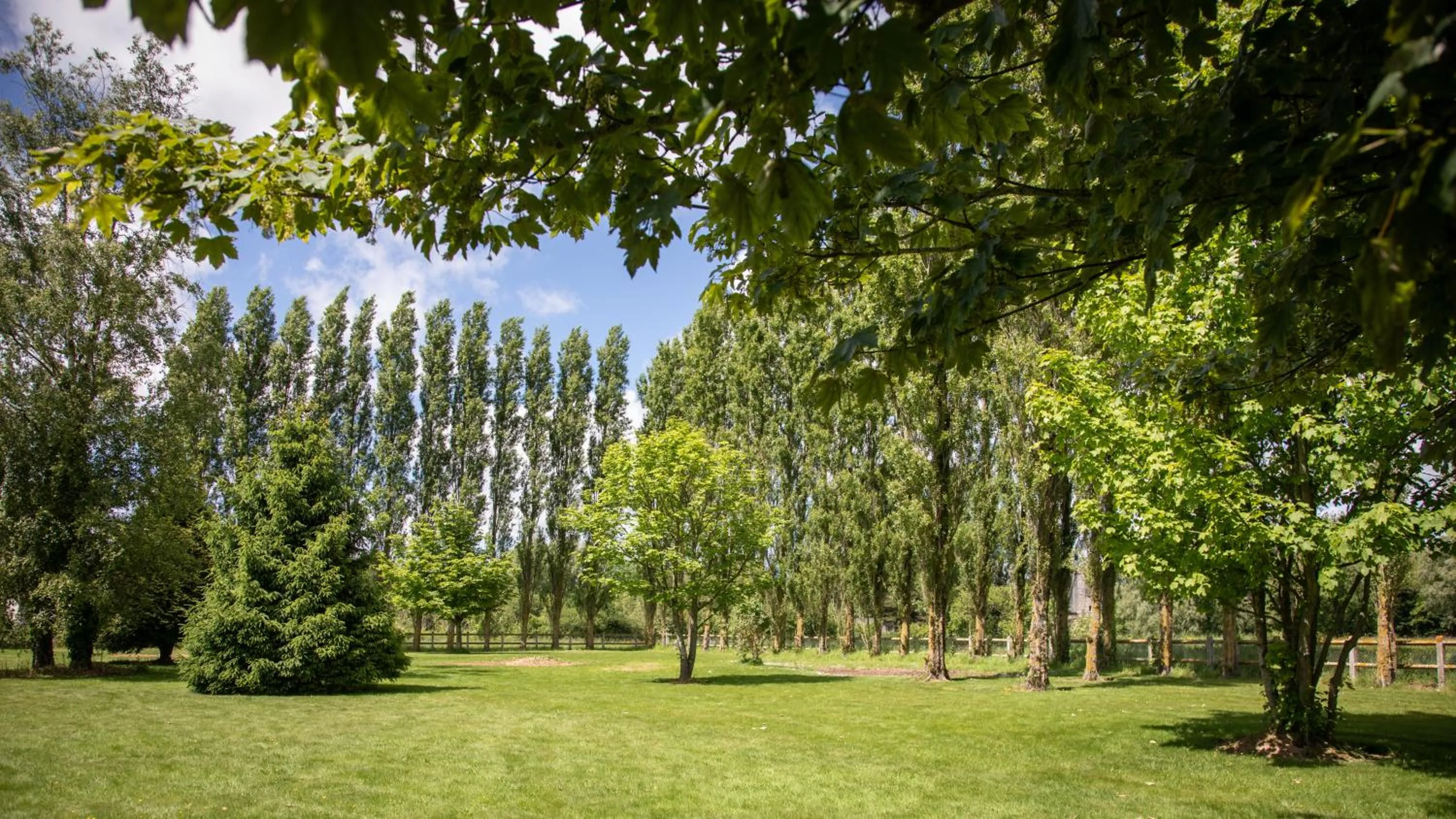 Garden view in Logis Hôtel Restaurant Le Sainte Mère