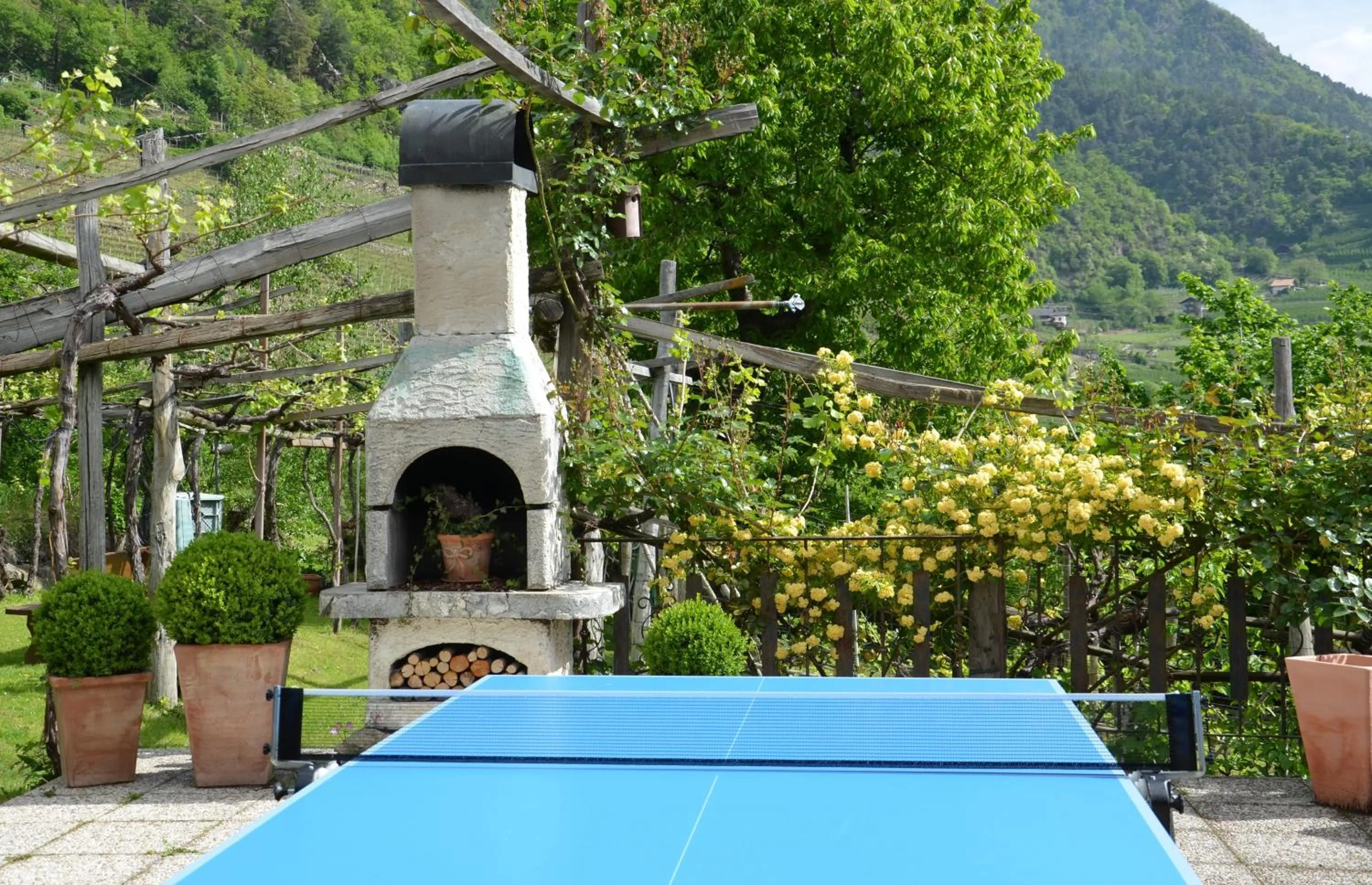 Table tennis in Obermaratscher Apartments Residence