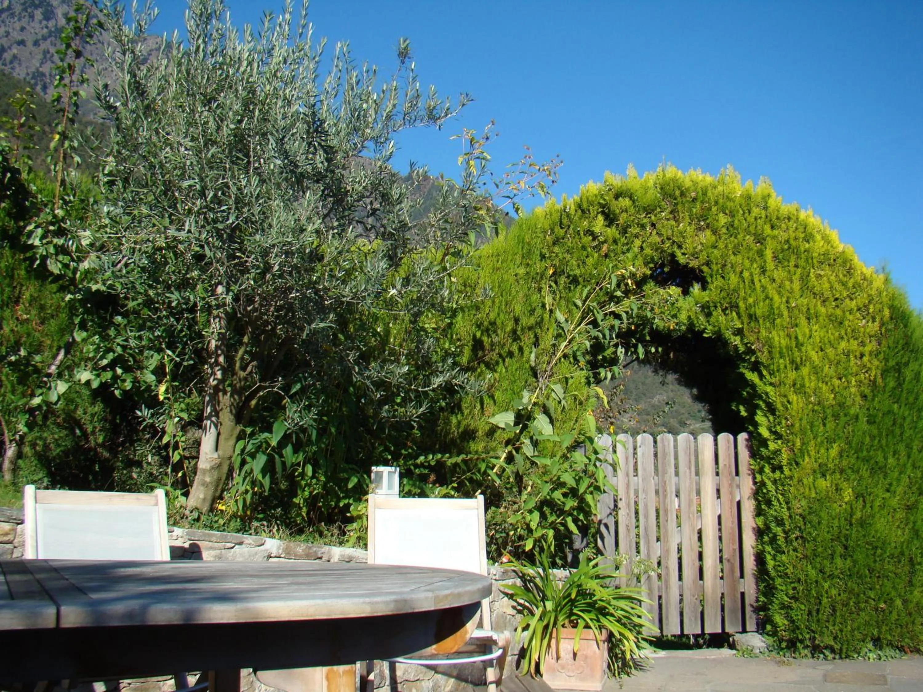 Garden in Obermaratscher Apartments Residence