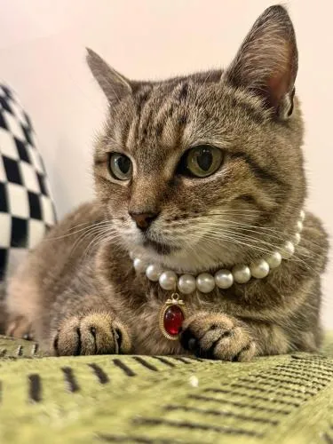 Seville Countrified B&B