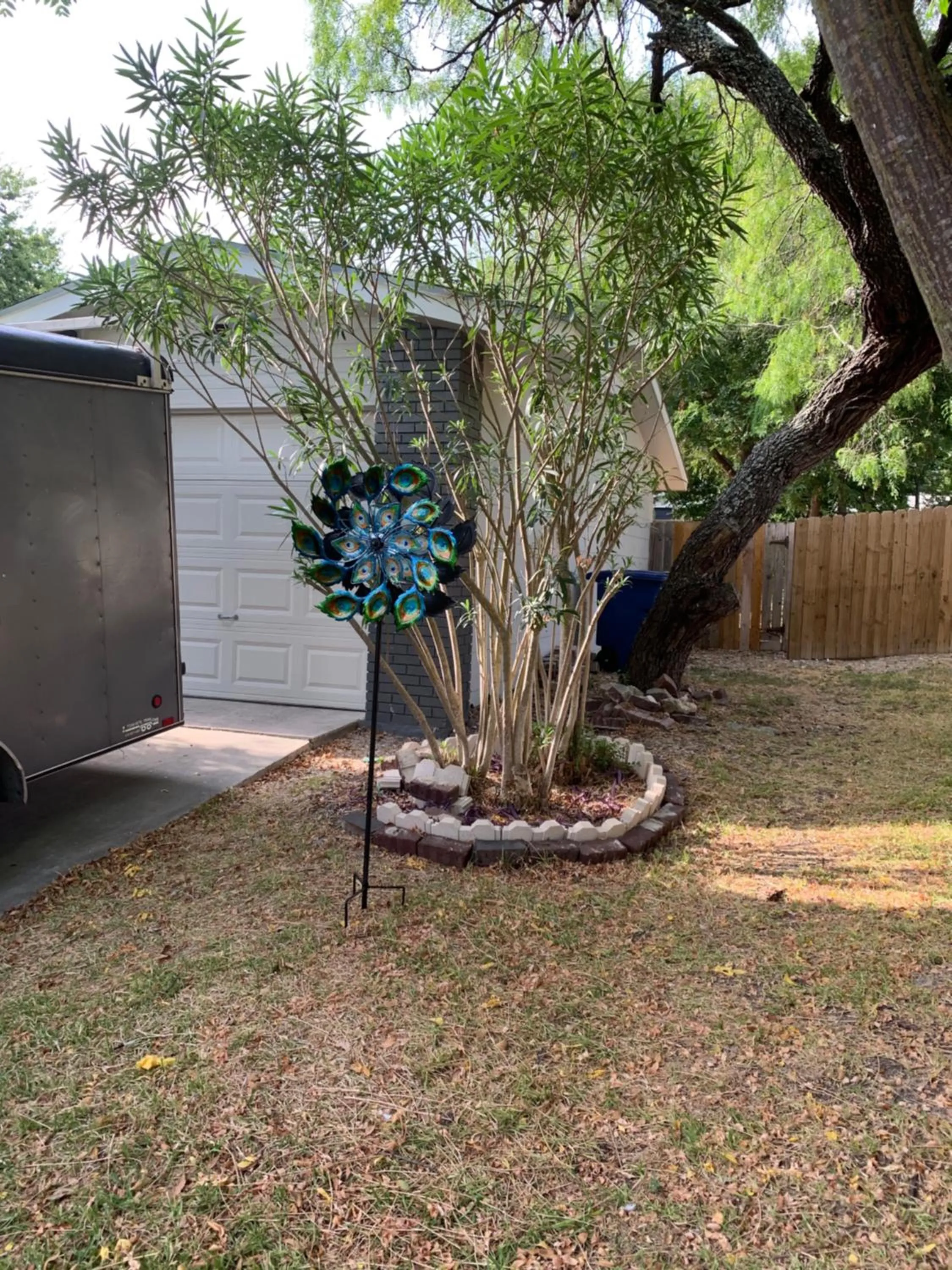 Garden in The Peahen House