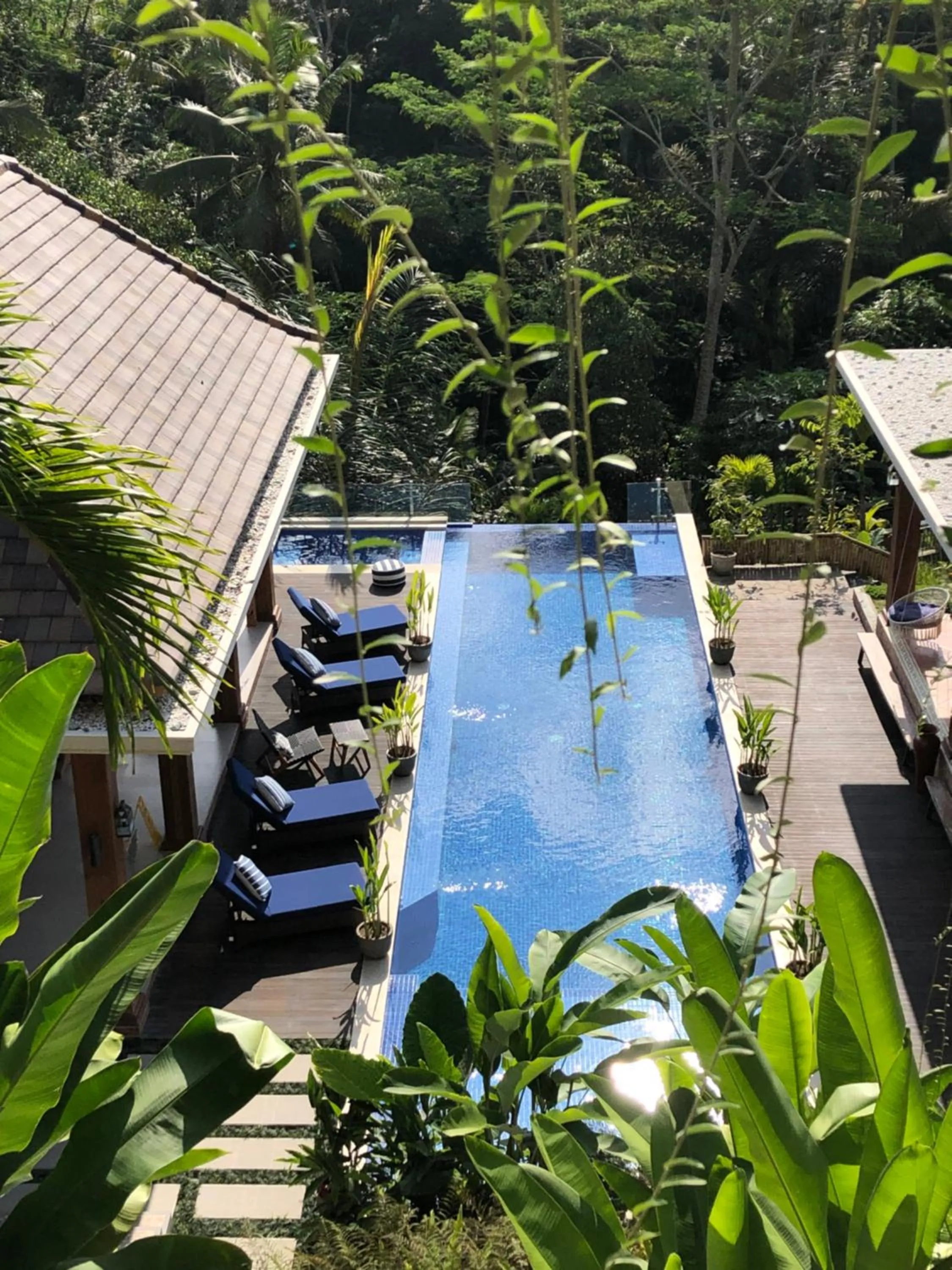 Pool view in Puri Kasih Gottlieb
