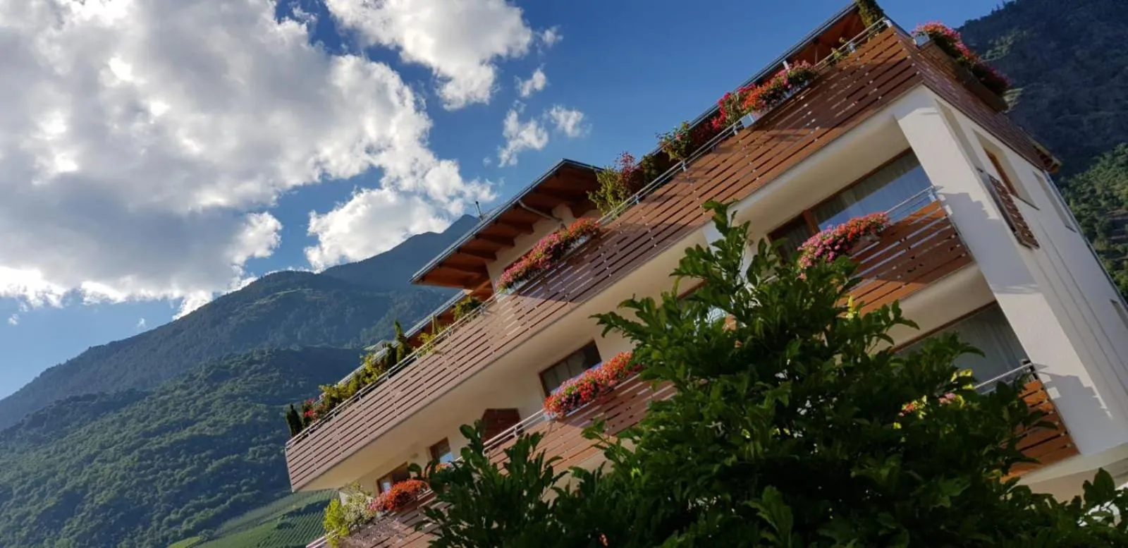 Genusshotel Panorama