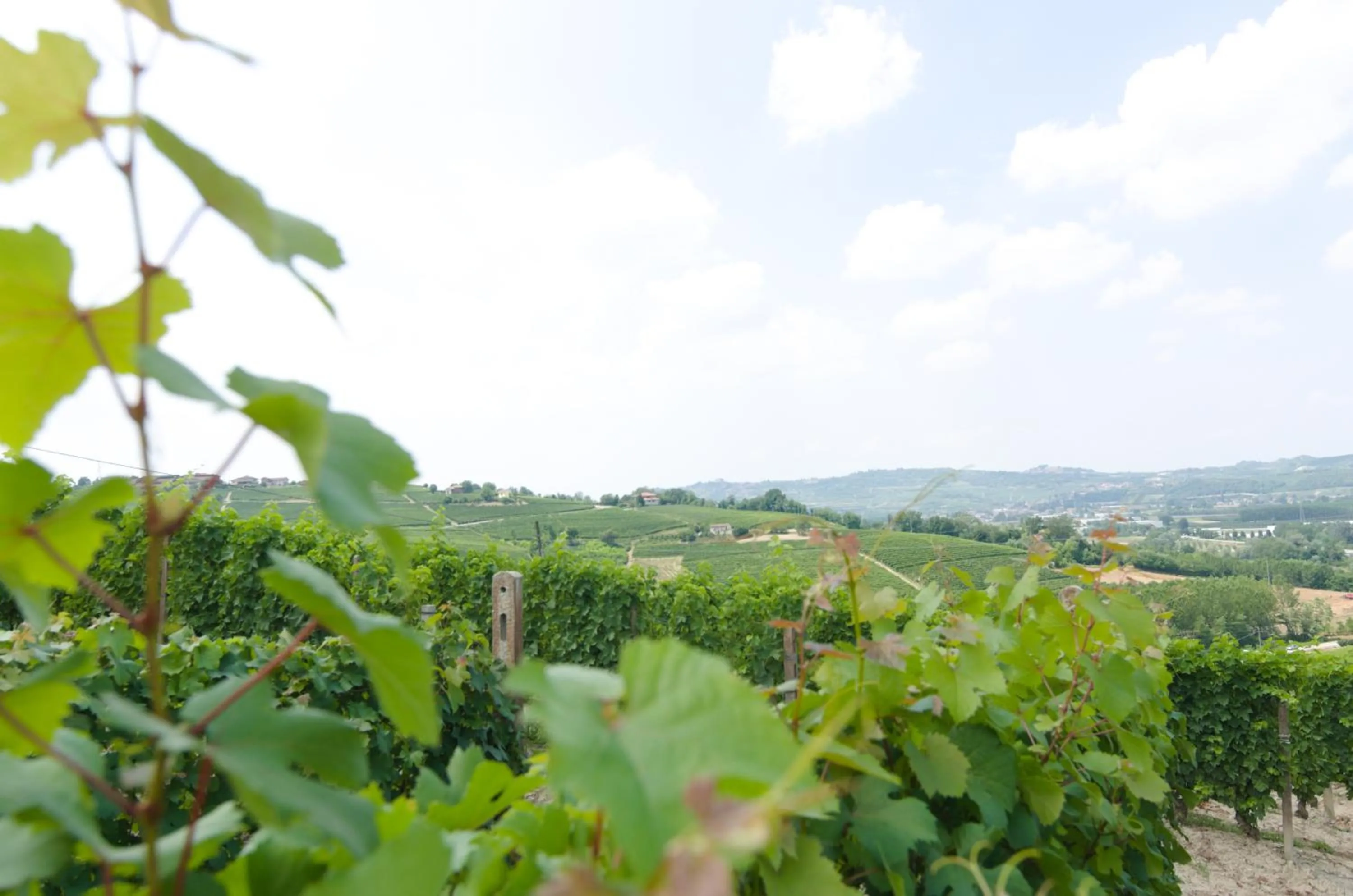 Natural landscape in B&B da Laura e Aldo