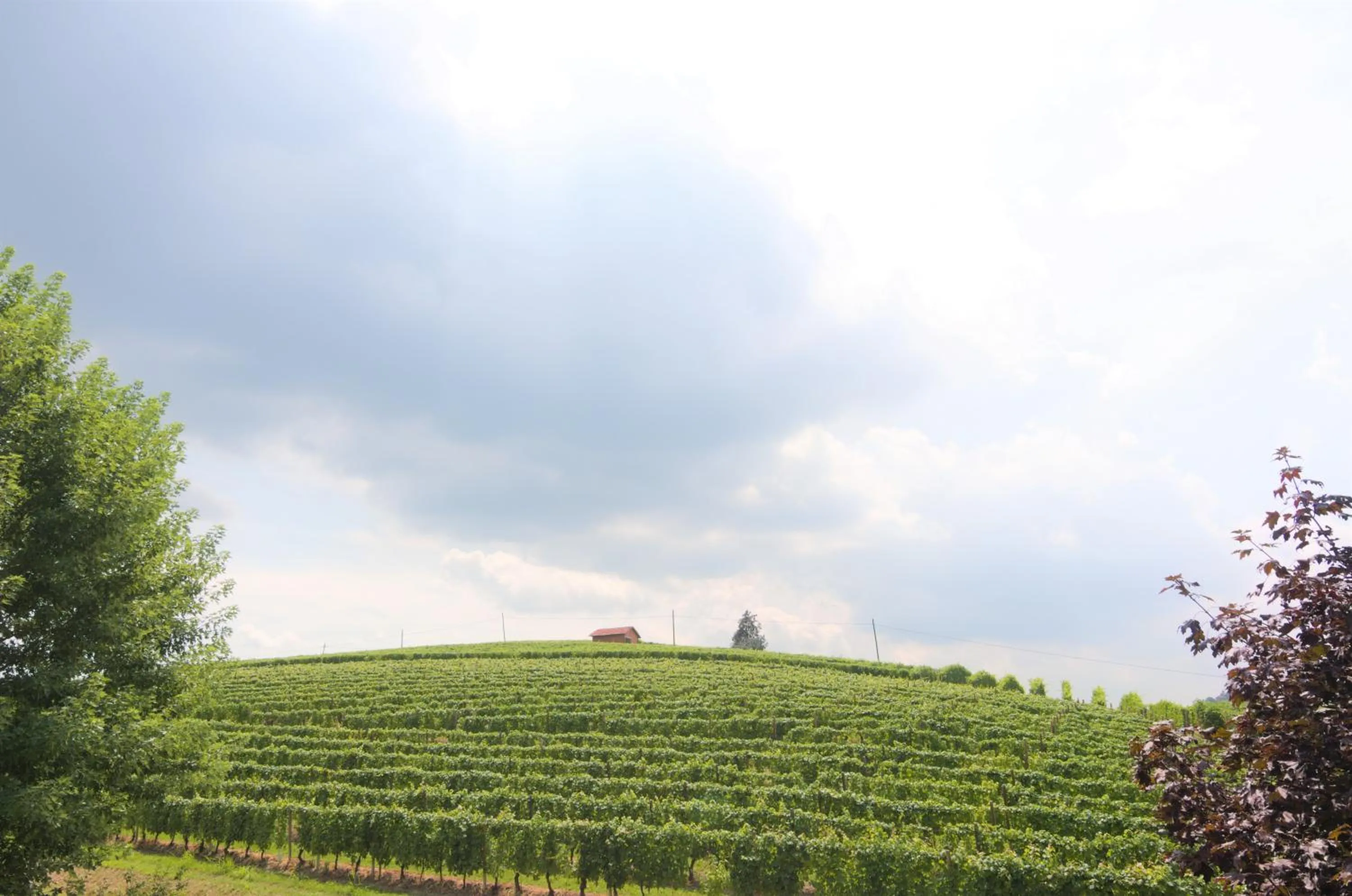 Natural landscape in B&B da Laura e Aldo