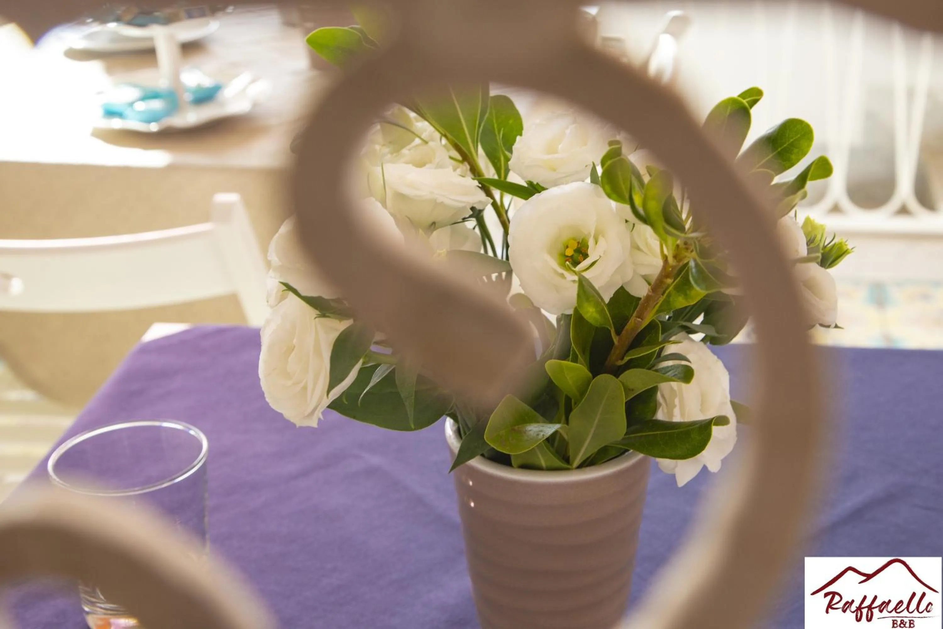 Drinks in B & B Raffaello