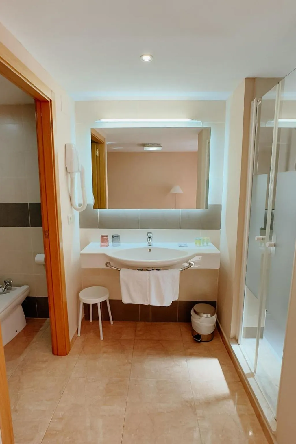 Bathroom in Hotel Anna