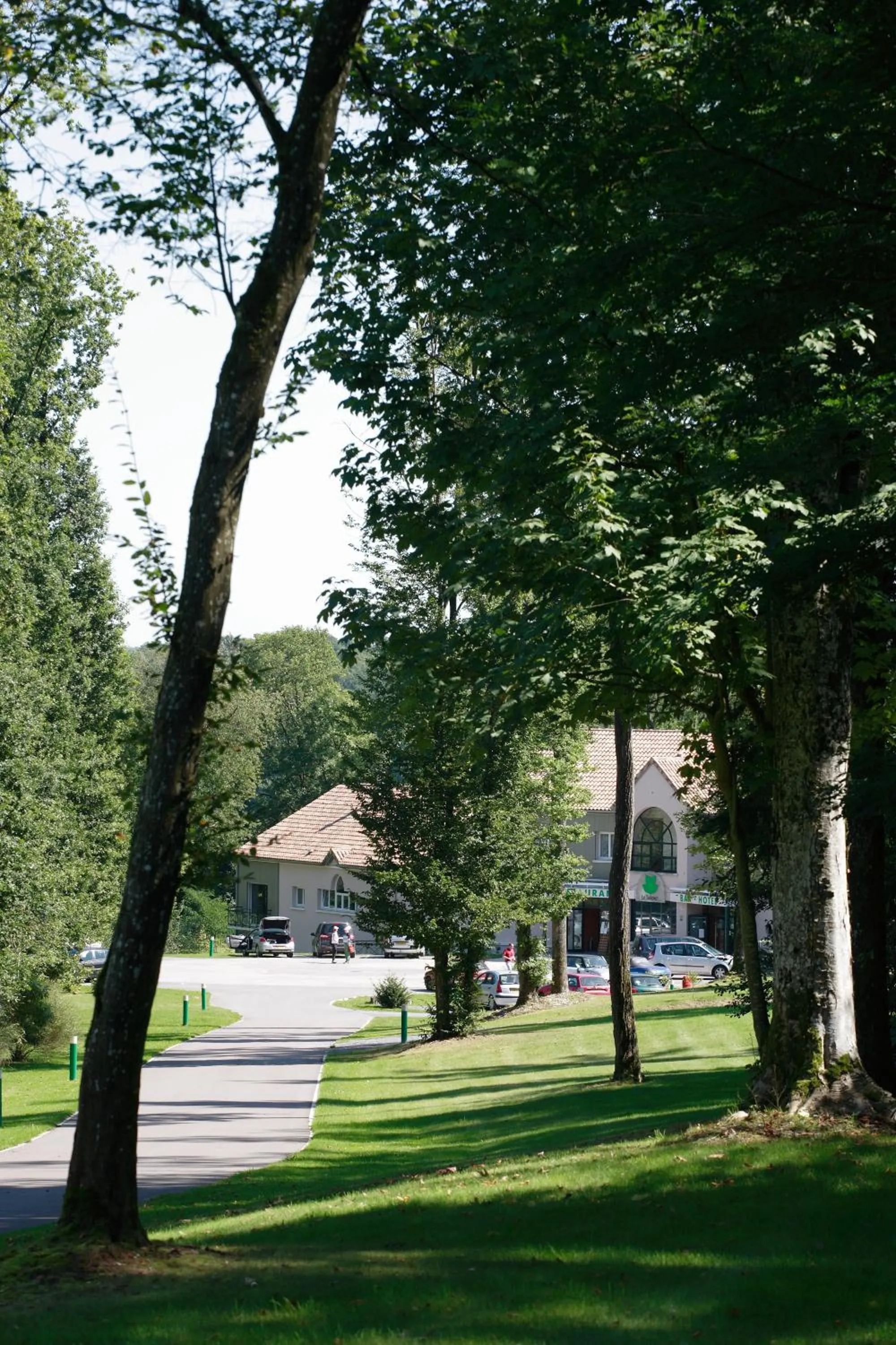 Area and facilities in Logis Hôtel - Restaurant Le Tulipier