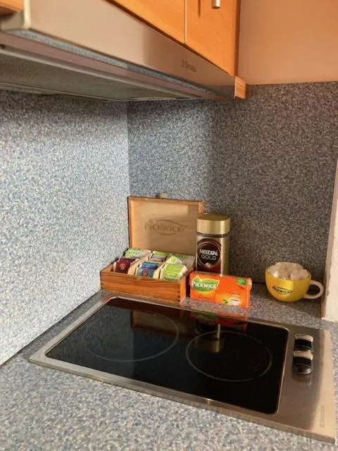 Kitchen or kitchenette in Aparthotel City 5