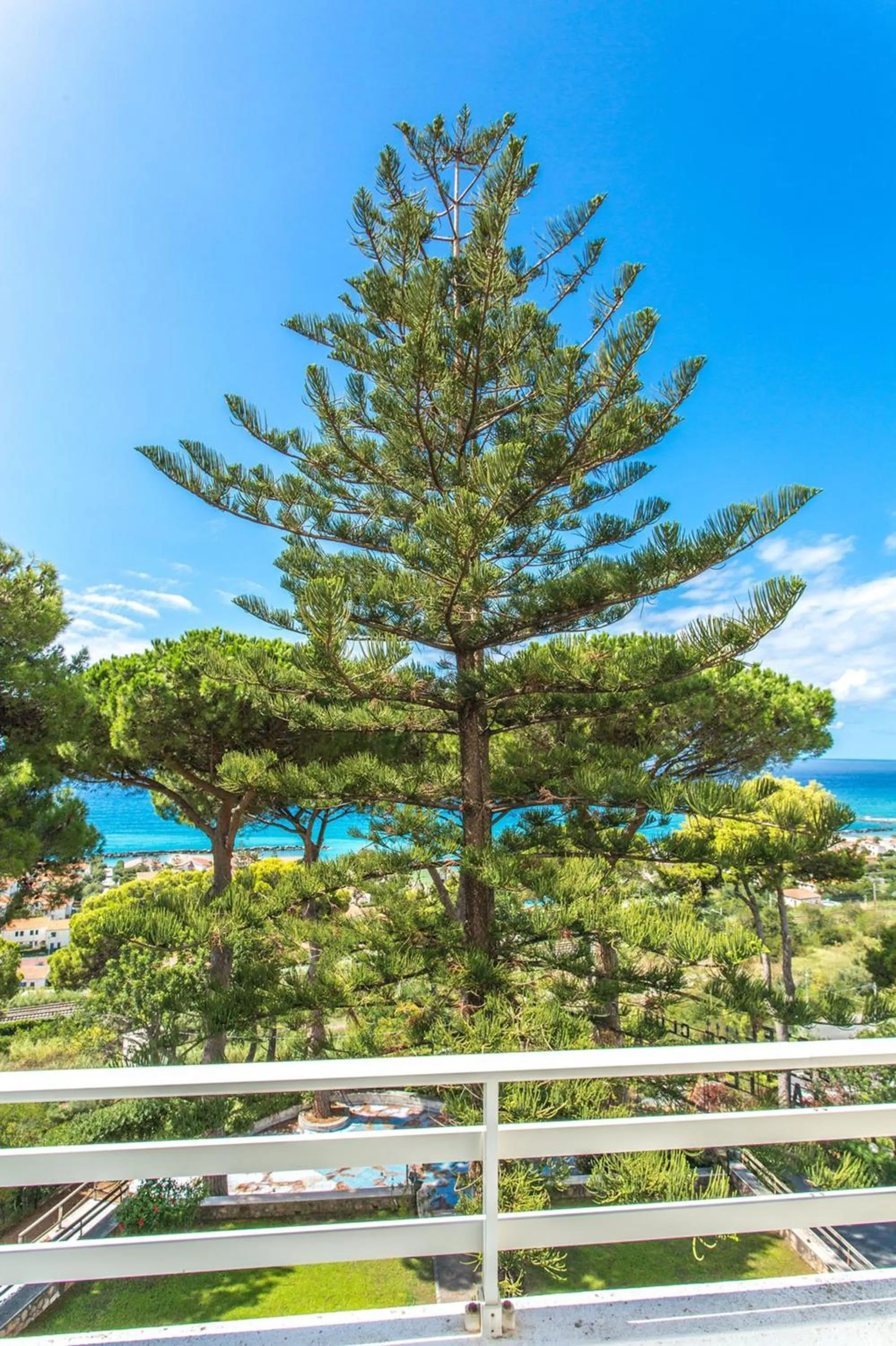 Balcony/Terrace in Hotel La Castellana