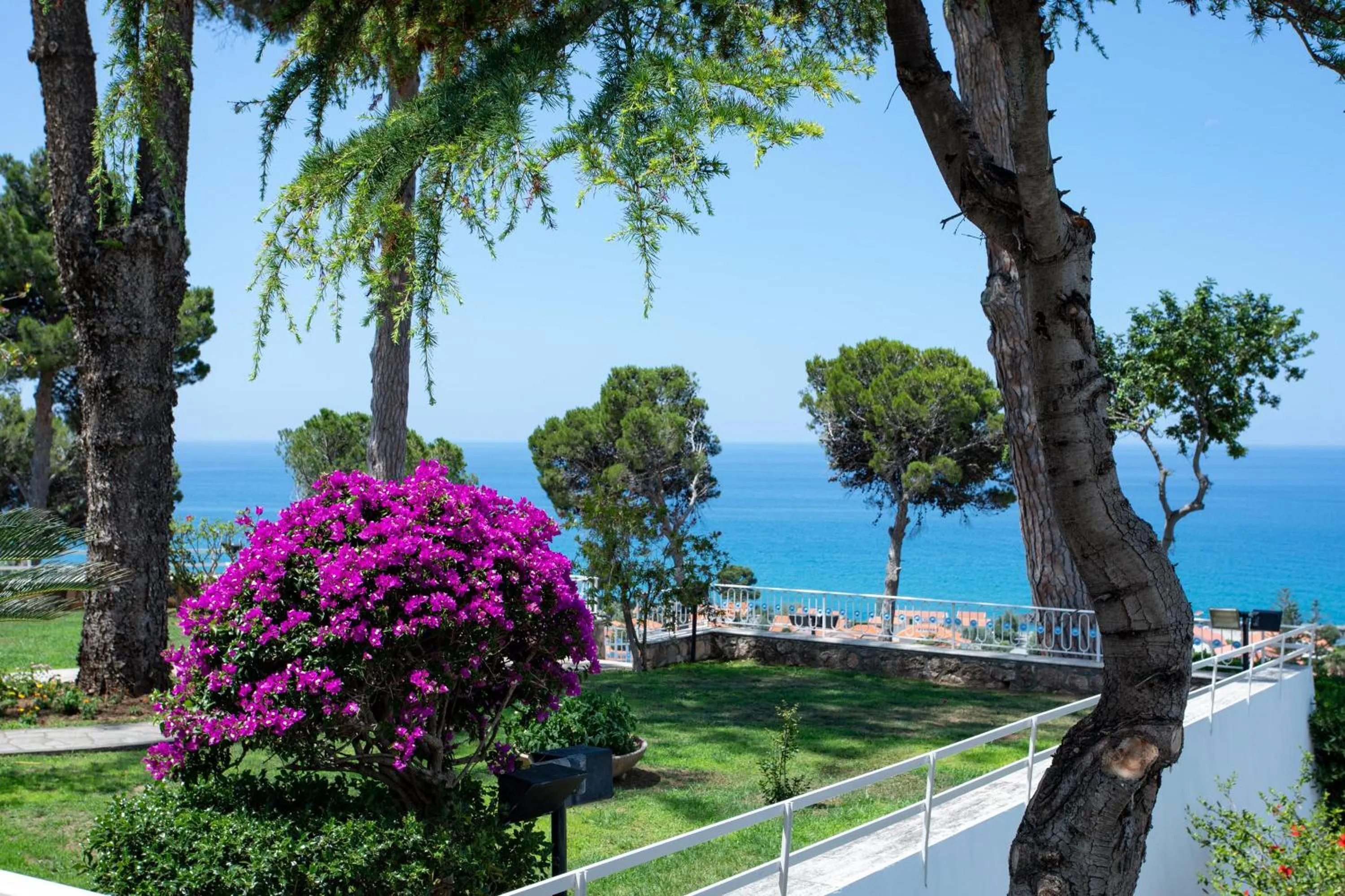 Garden in Hotel La Castellana