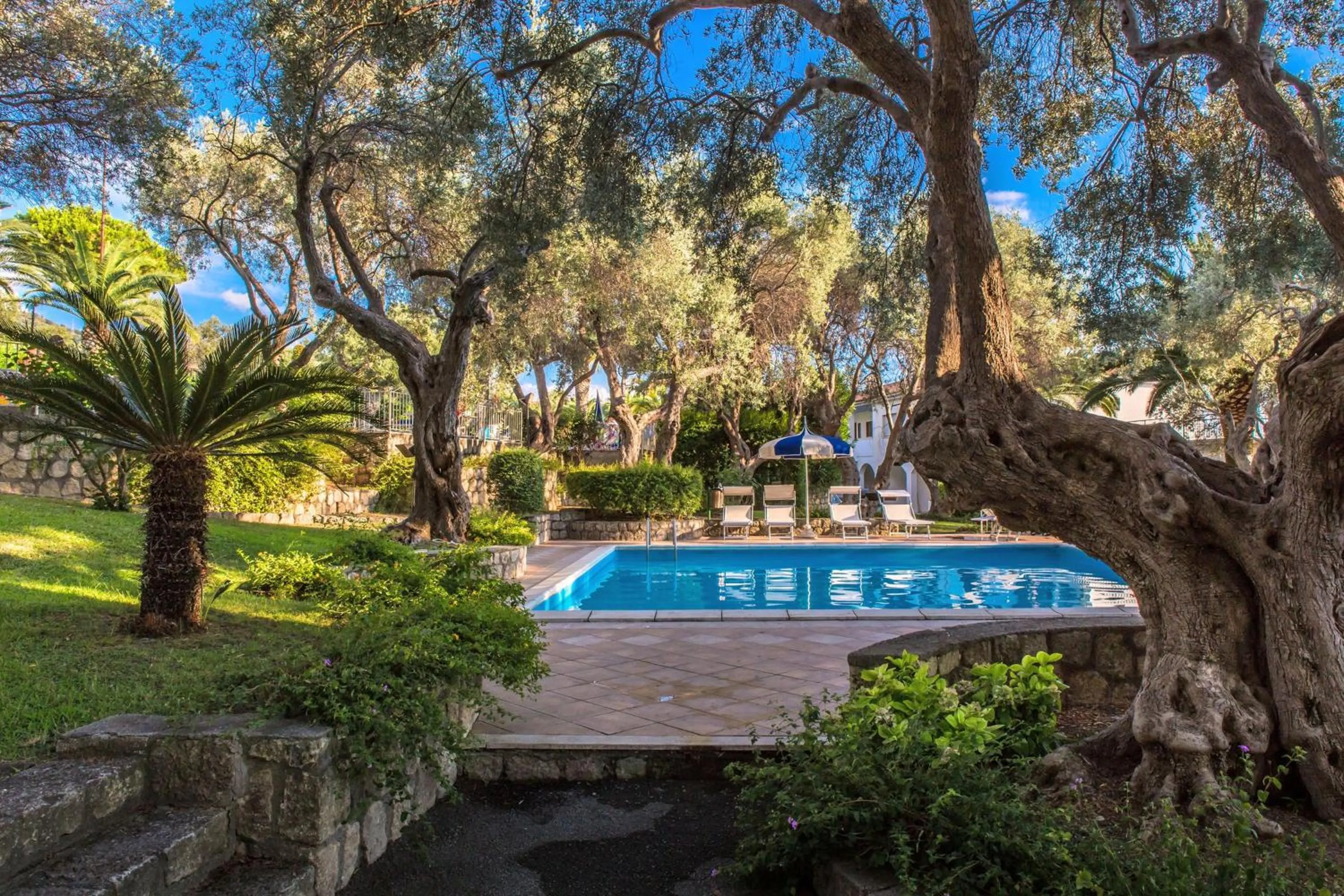 Swimming pool in Hotel La Castellana