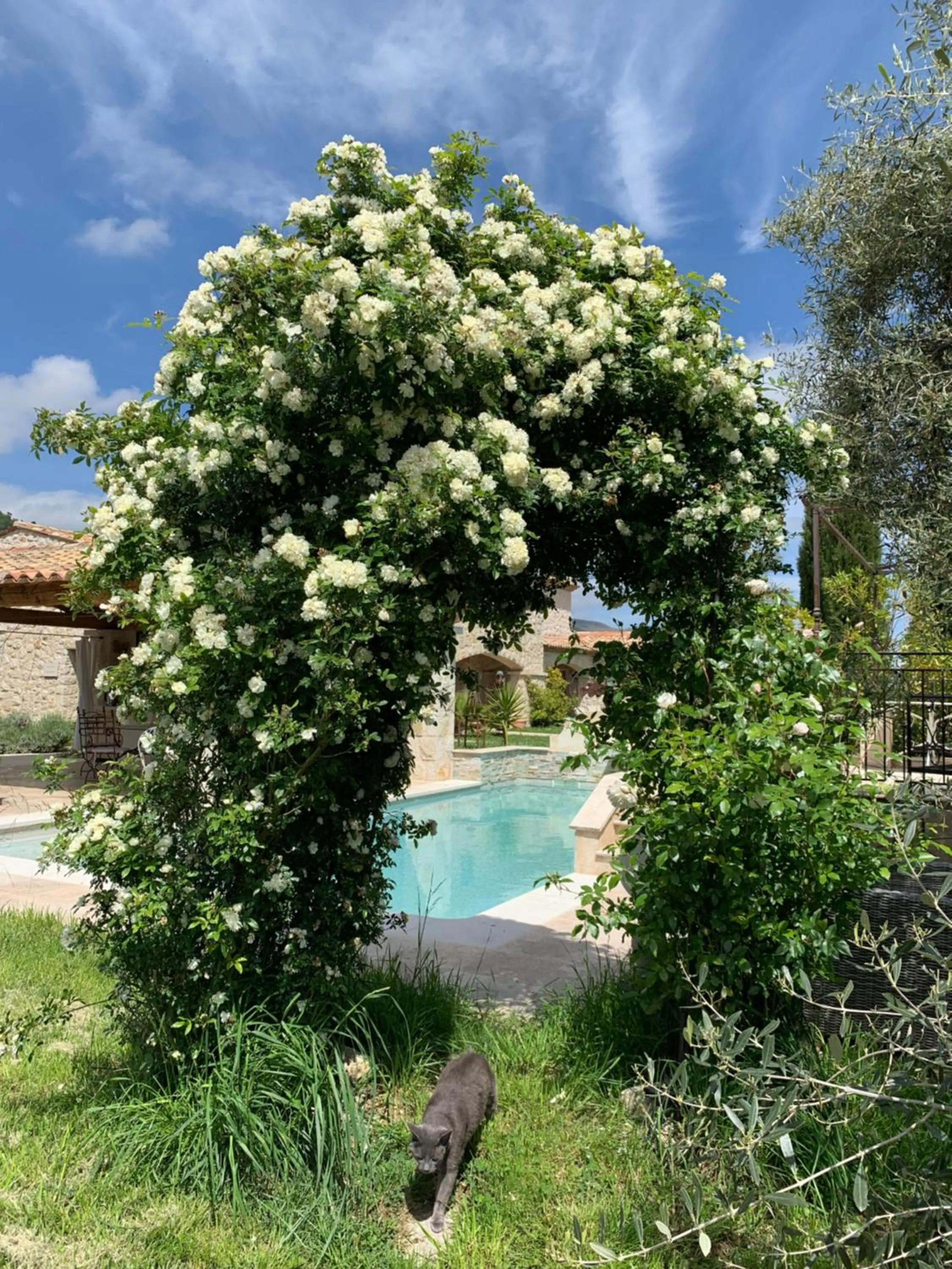 Natural landscape in Les 4 éléments