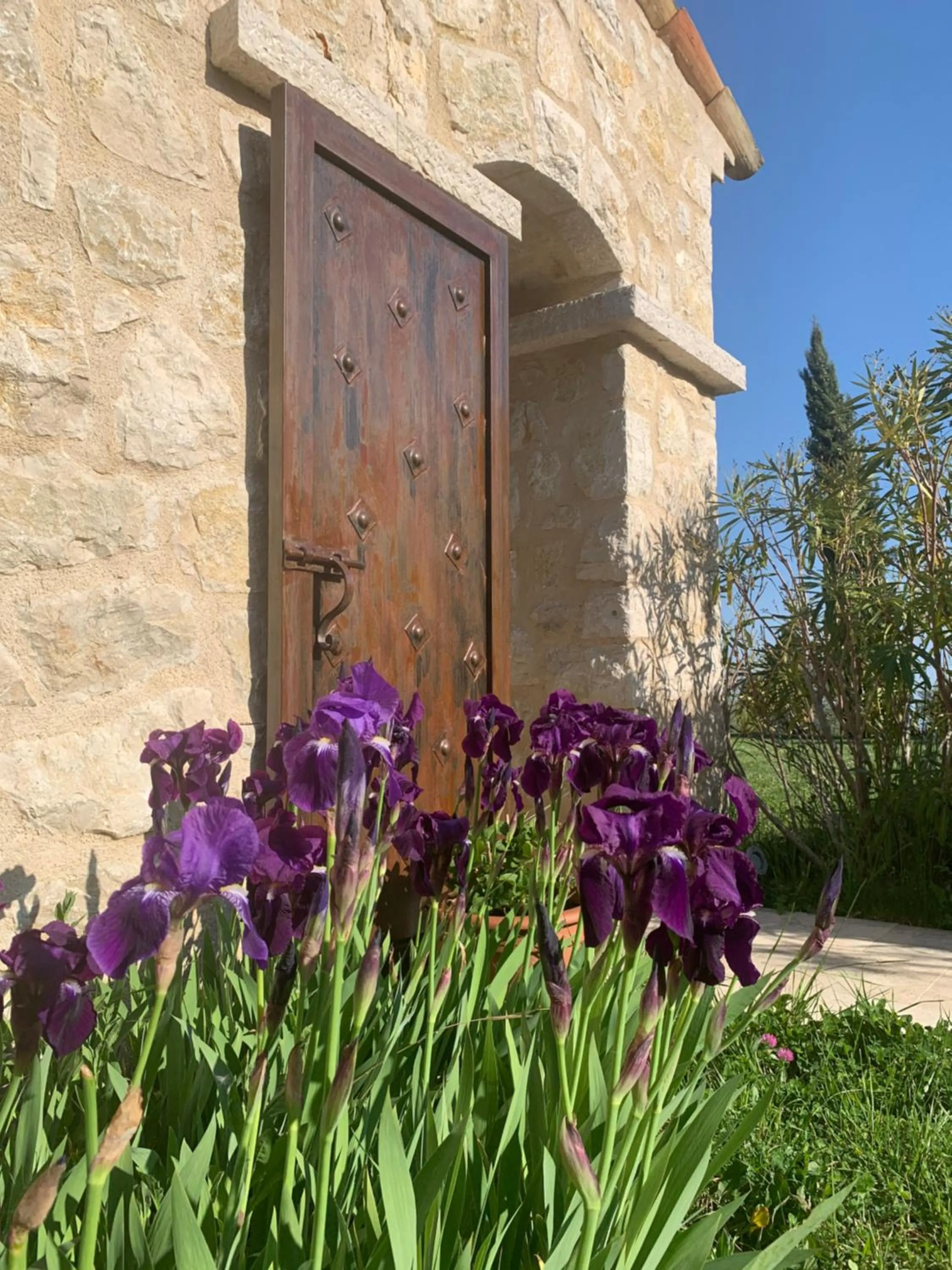 Garden view in Les 4 éléments