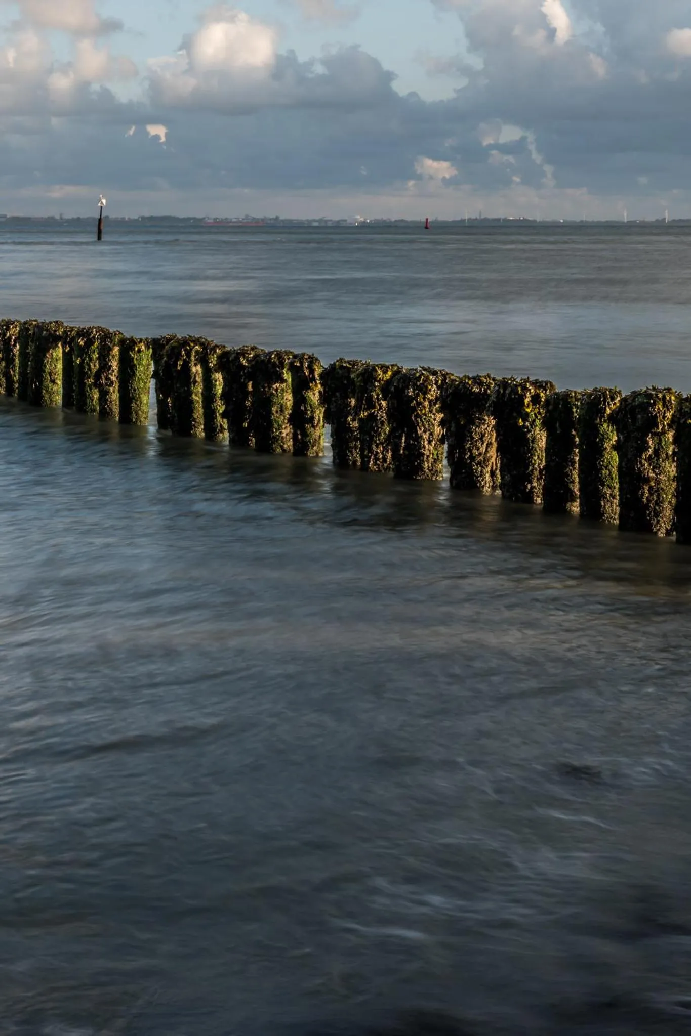 Natural landscape in Suite & Wellness