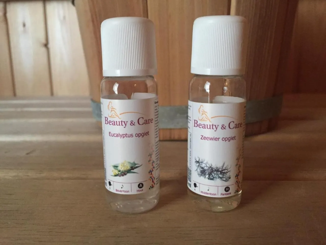 Sauna in Suite & Wellness