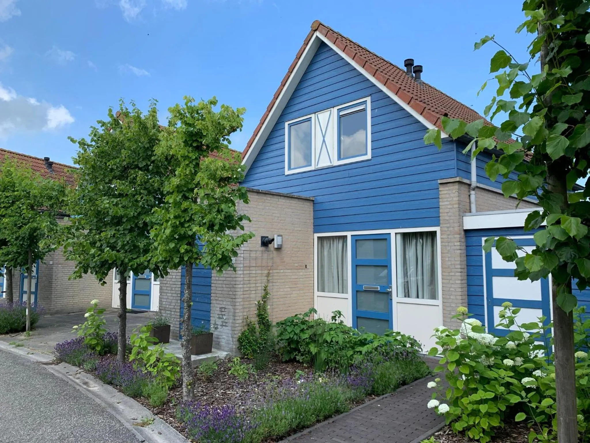 Property building in Suite & Wellness