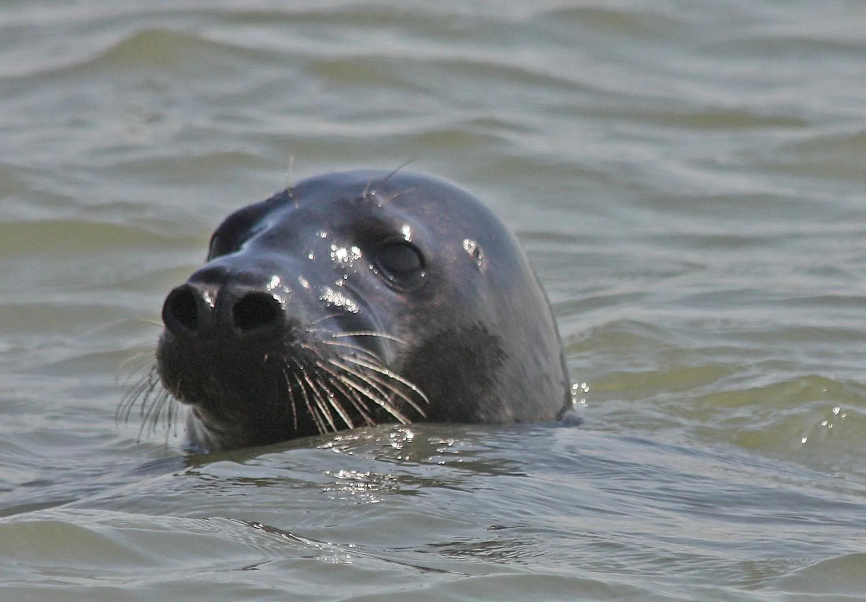 Nearby landmark in Suite & Wellness