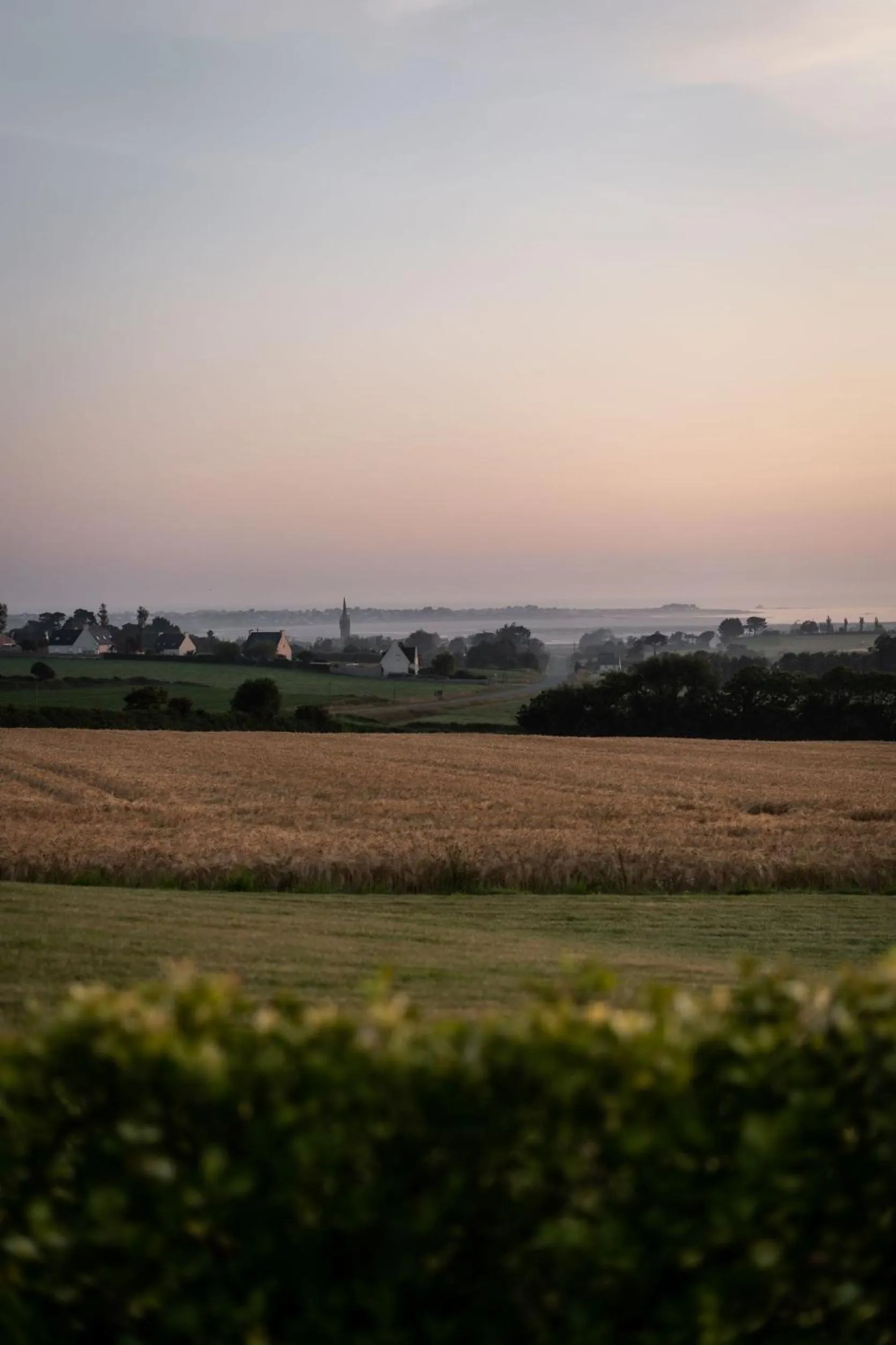 View (from property/room) in La Butte