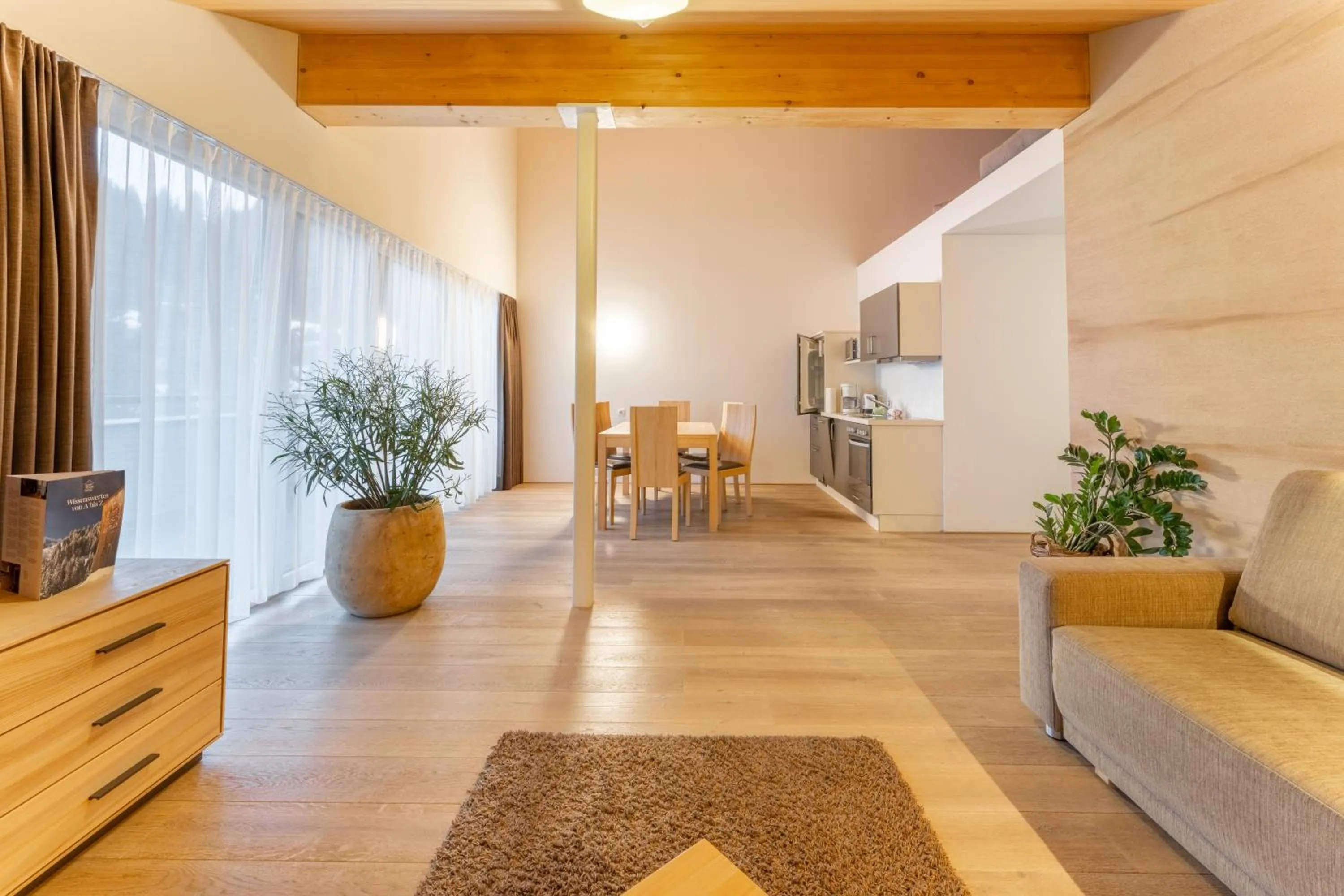 Kitchen or kitchenette in Aparthotel Alpinresort Damüls