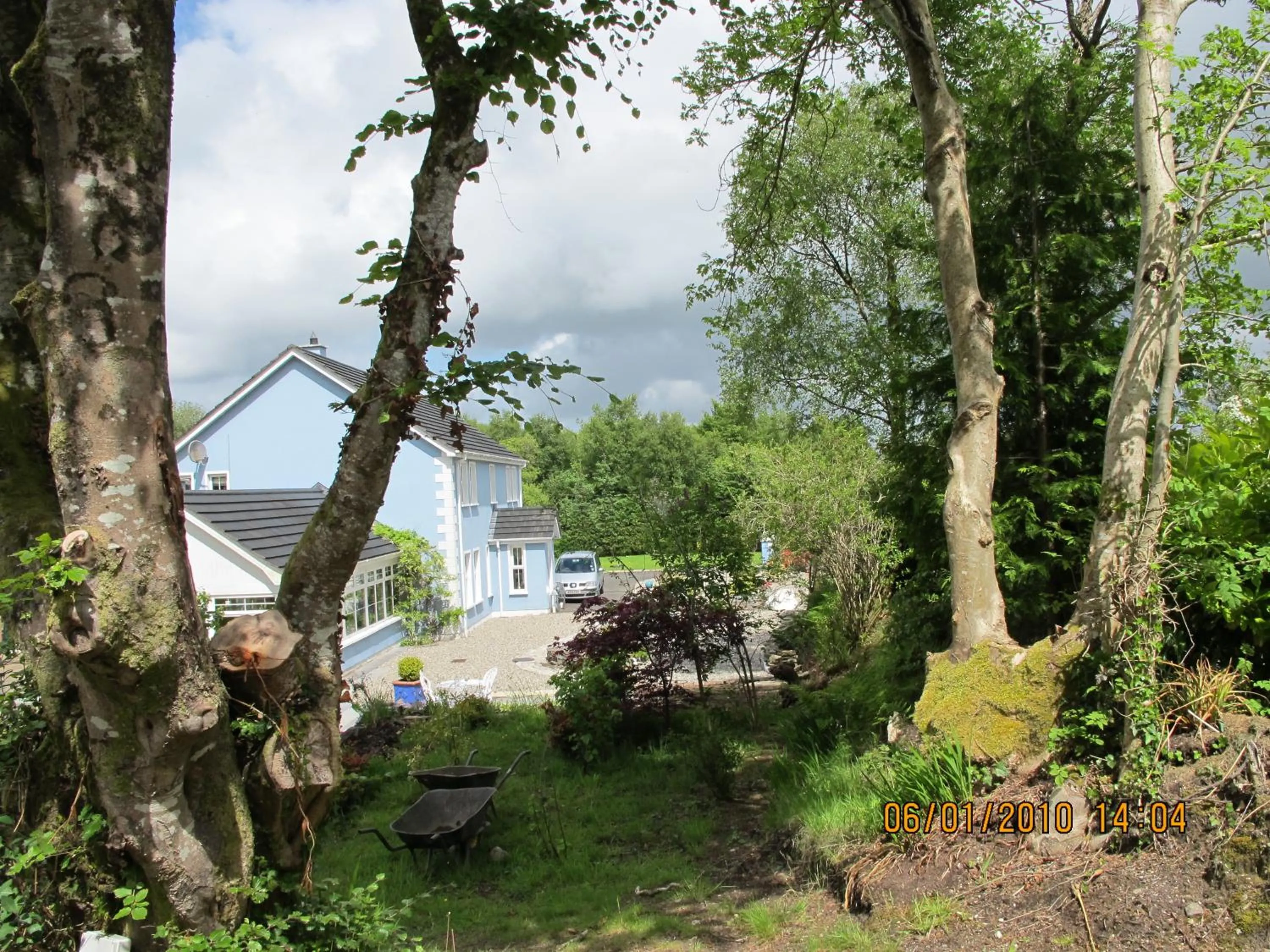 Natural landscape in Five Oaks