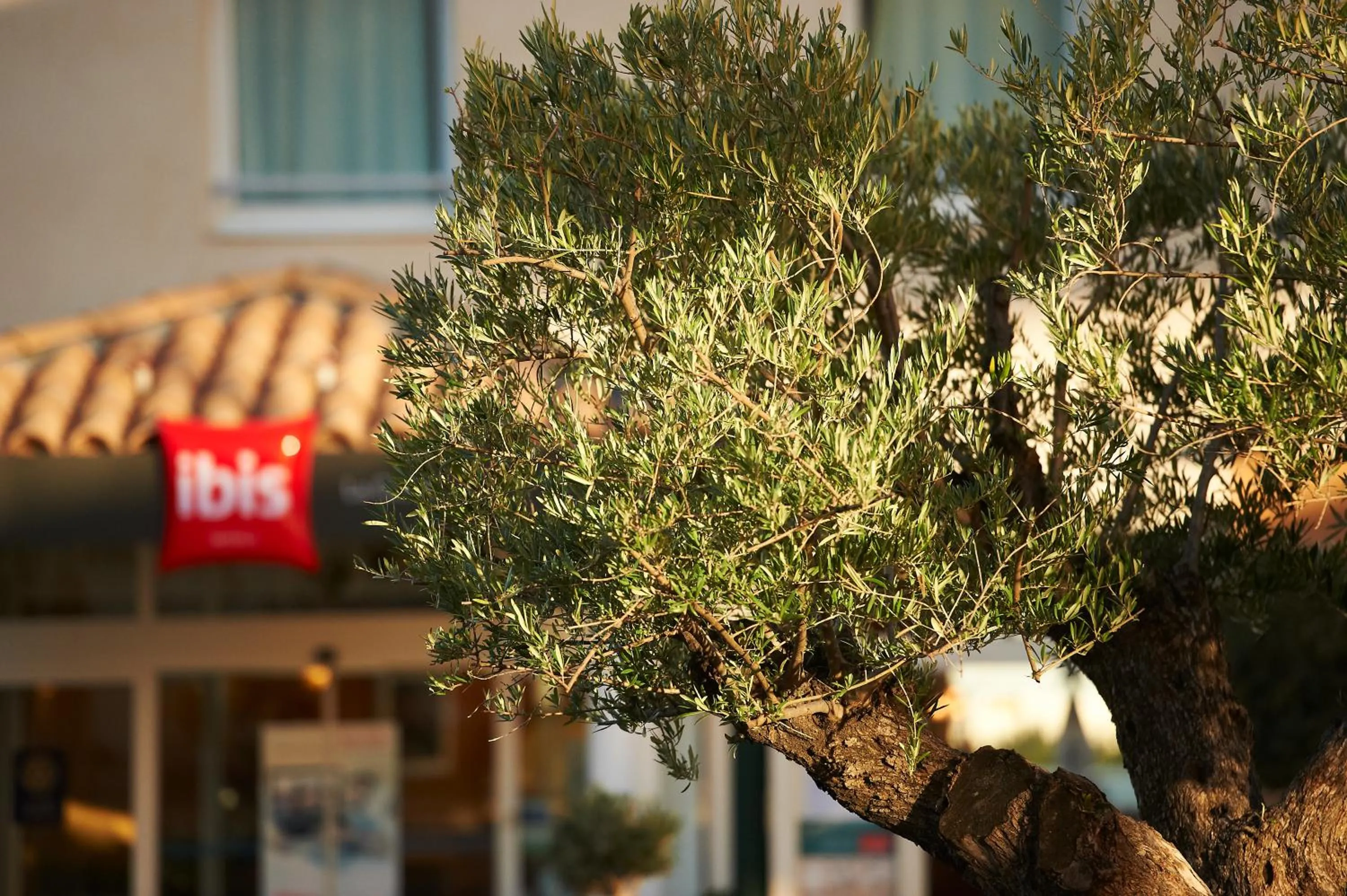 Property building in ibis La Ciotat