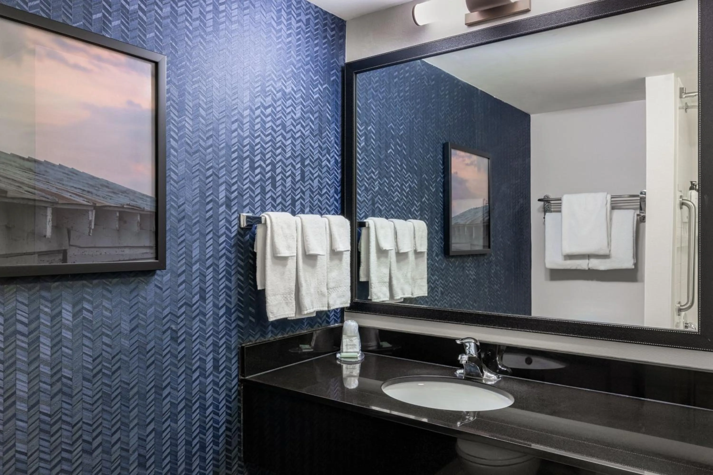 Bathroom in Fairfield Inn & Suites by Marriott Smithfield
