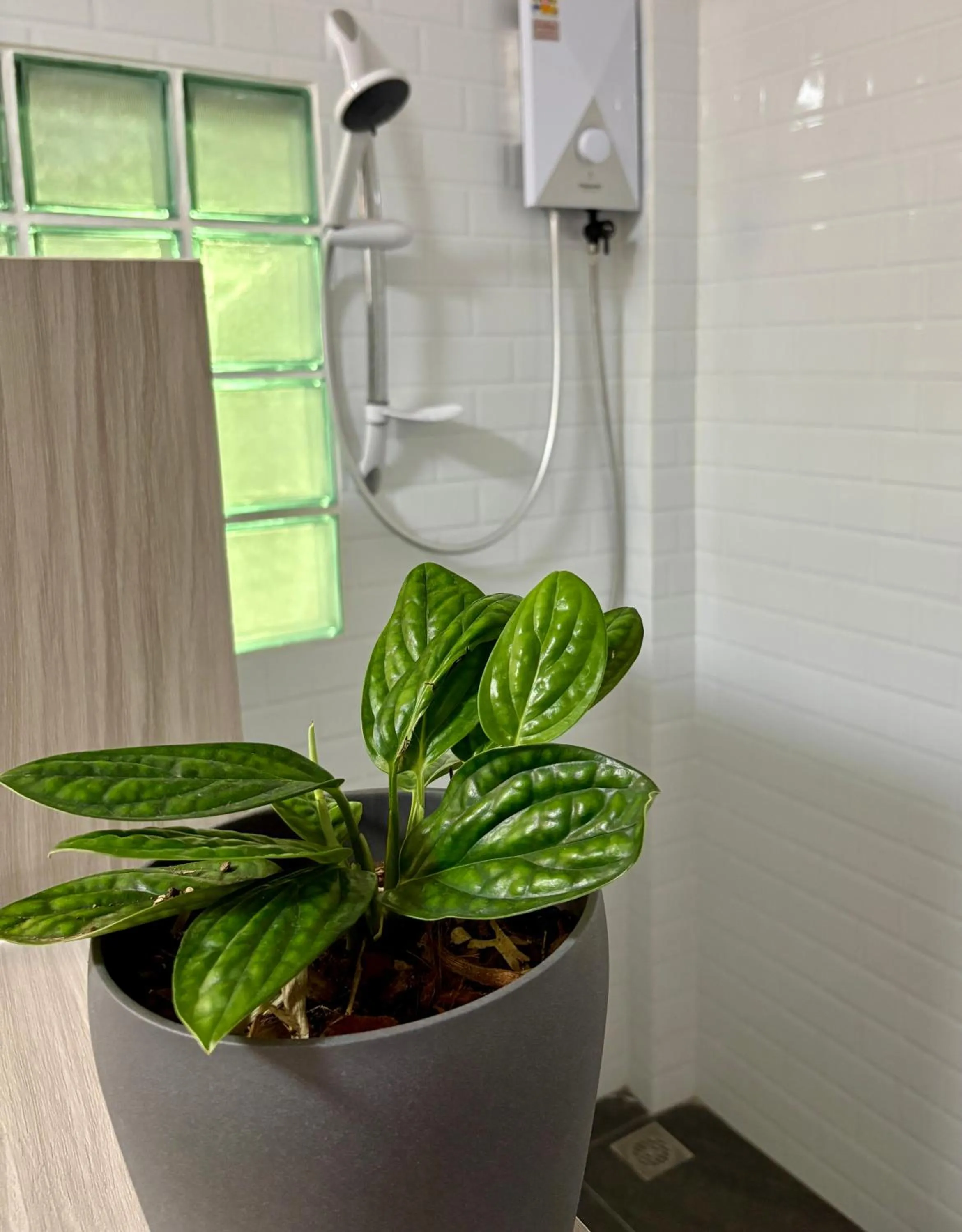 Shower in Namaste resort