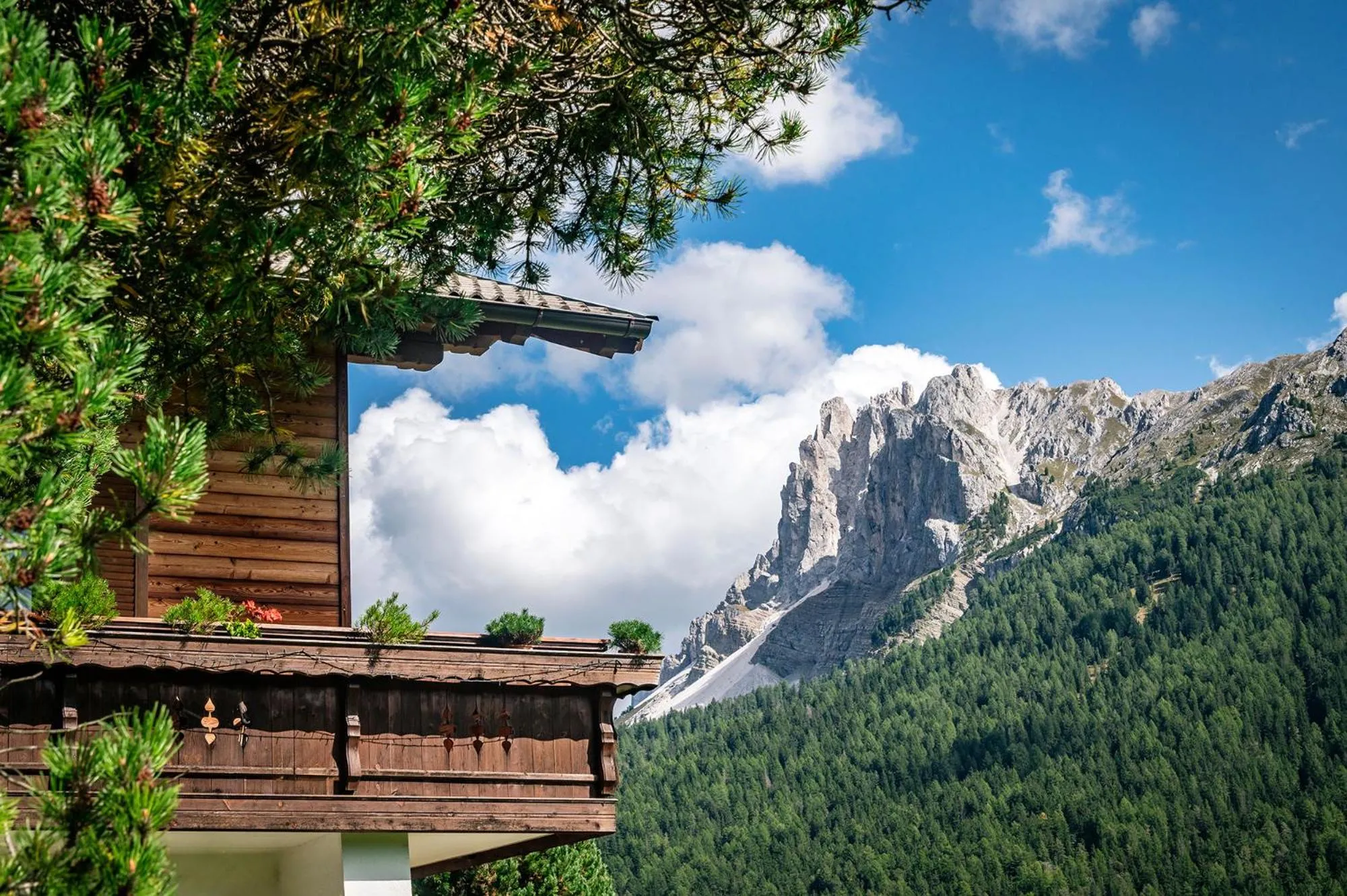 View (from property/room) in Schopplhof - panoramic apartments dolomites