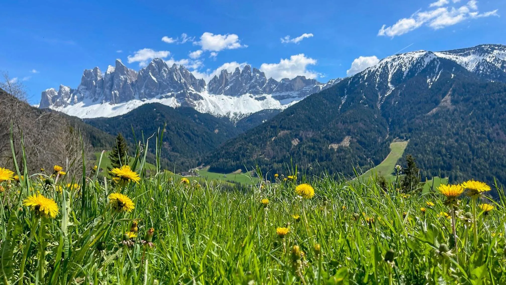 Spring in Schopplhof - panoramic apartments dolomites