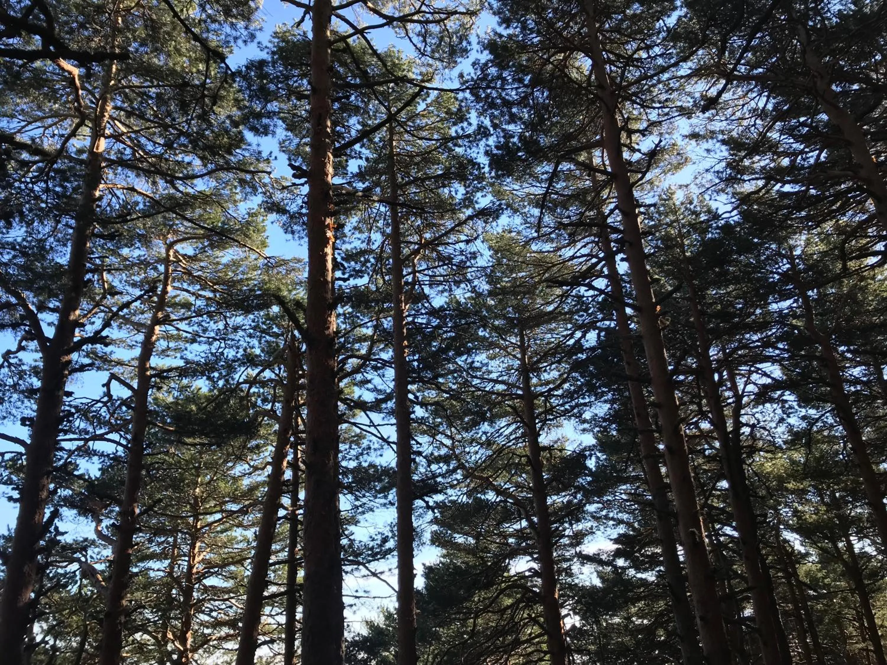 Box Art Hotel - La Torre