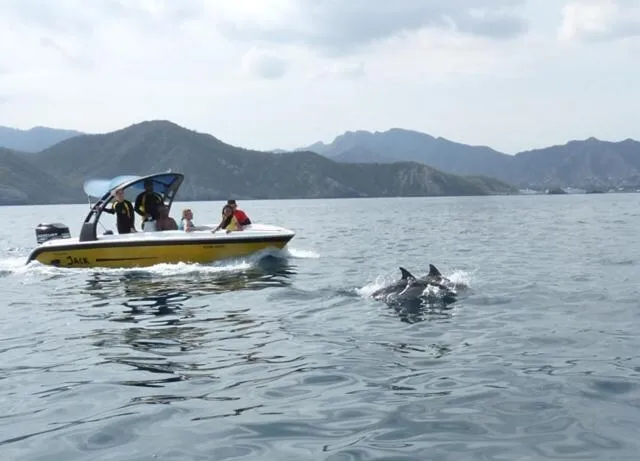 Hotel Cristina Suites