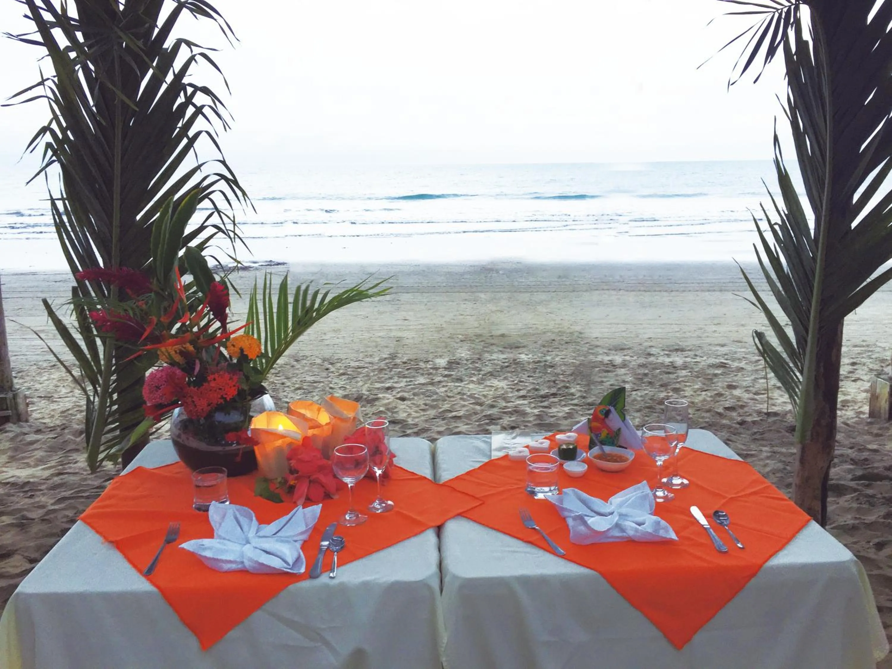 Natural landscape in Hotel Puerto Gaviota