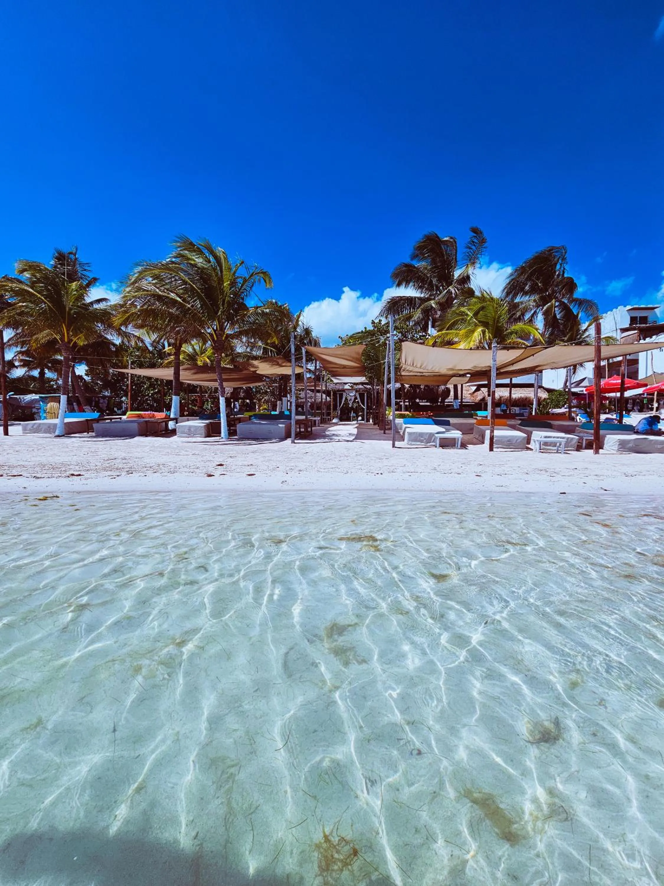 Beach in 40 Cañones