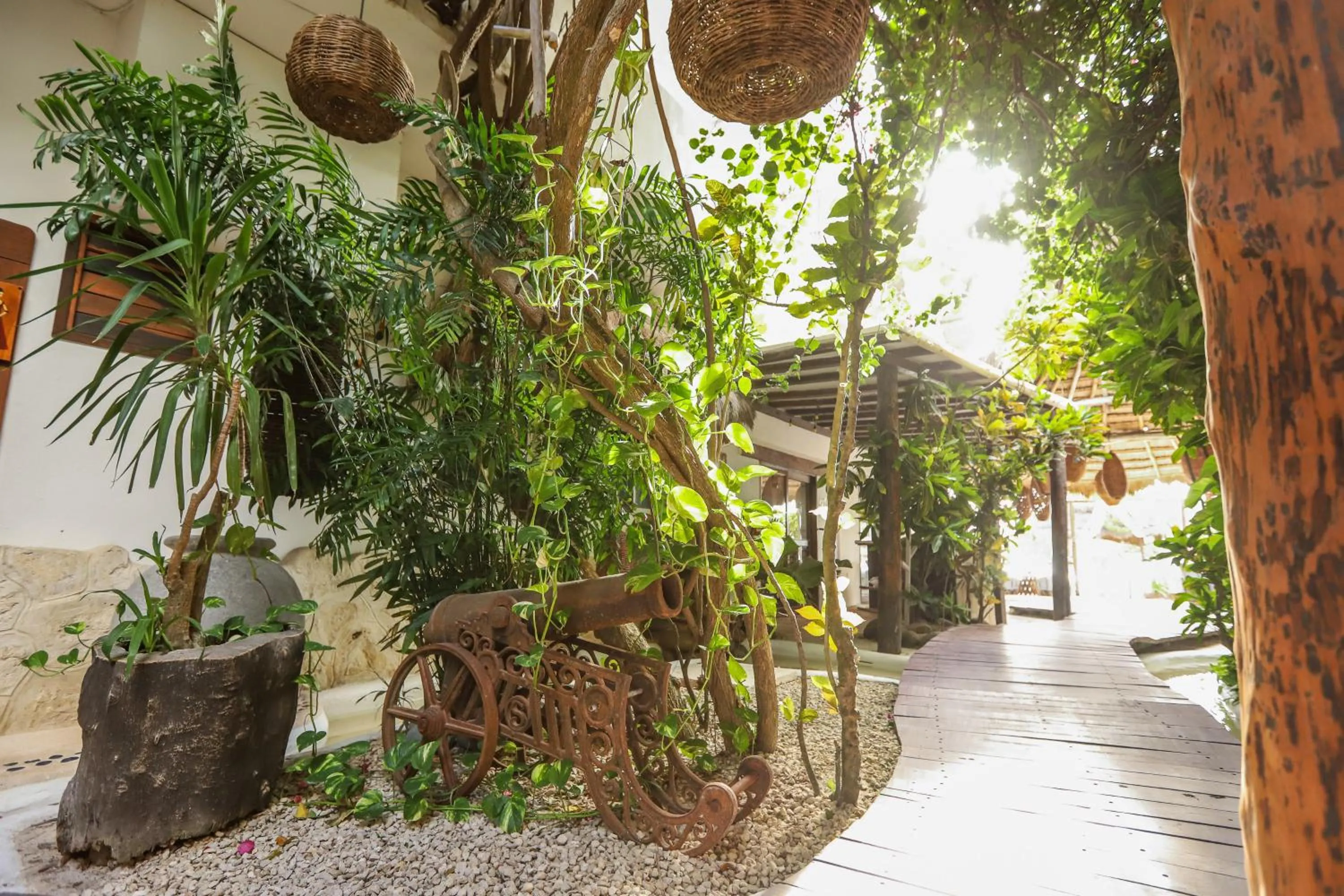 Area and facilities in 40 Cañones