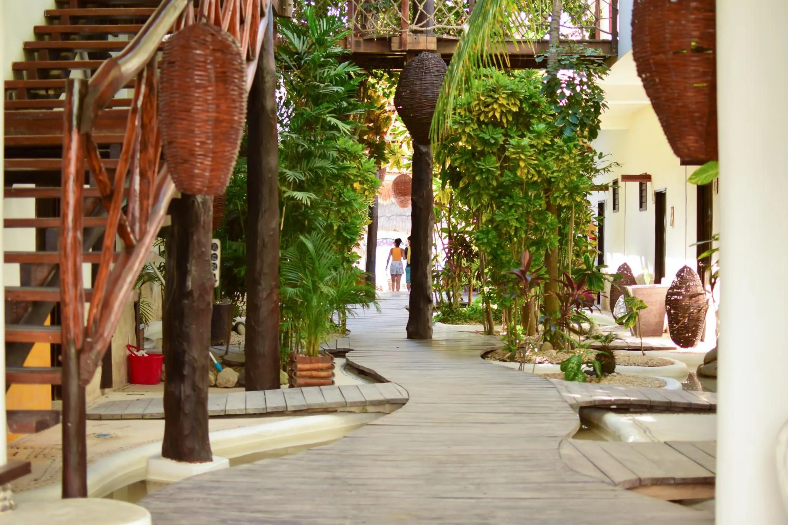 Area and facilities in 40 Cañones