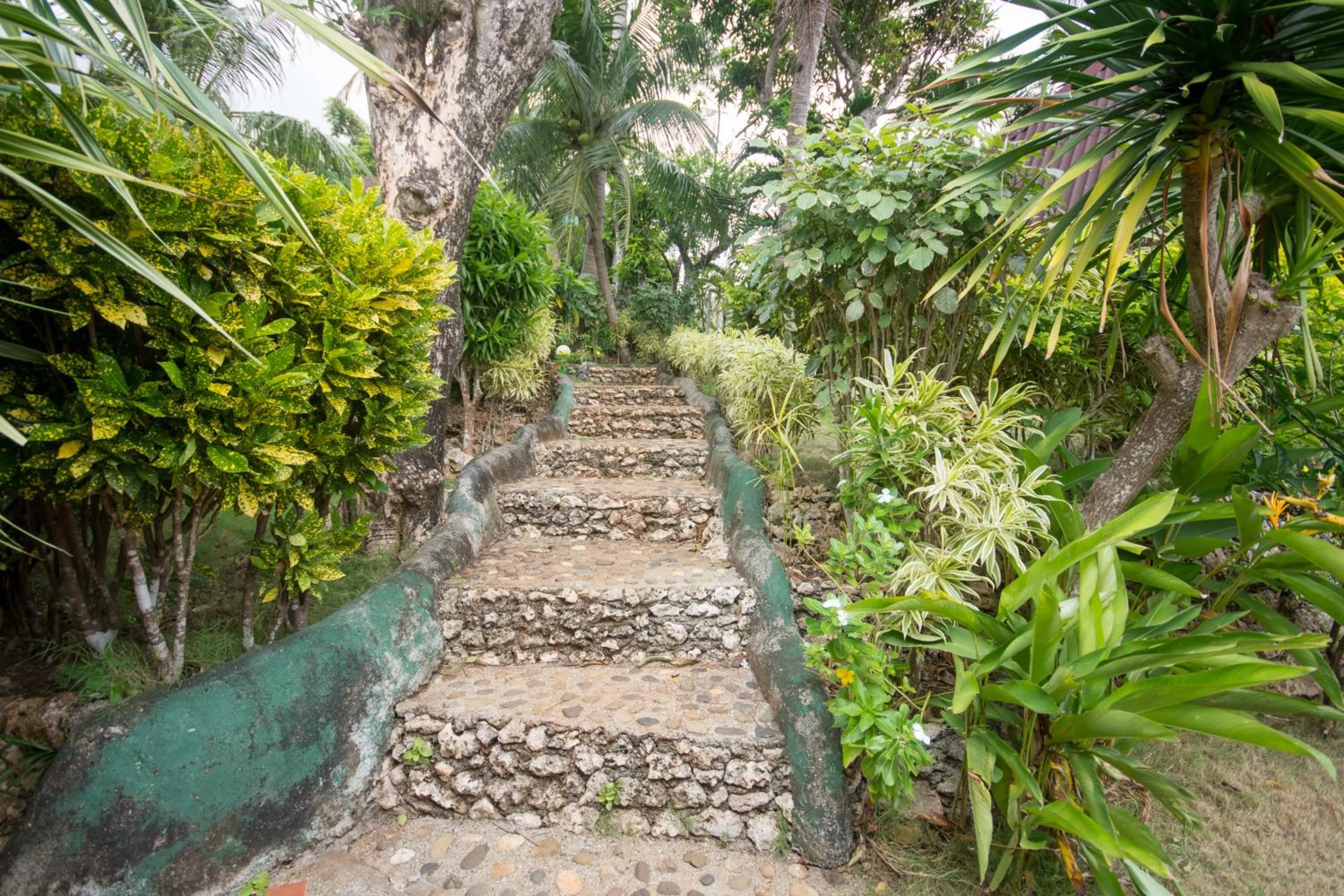 Area and facilities in Ralph's Place