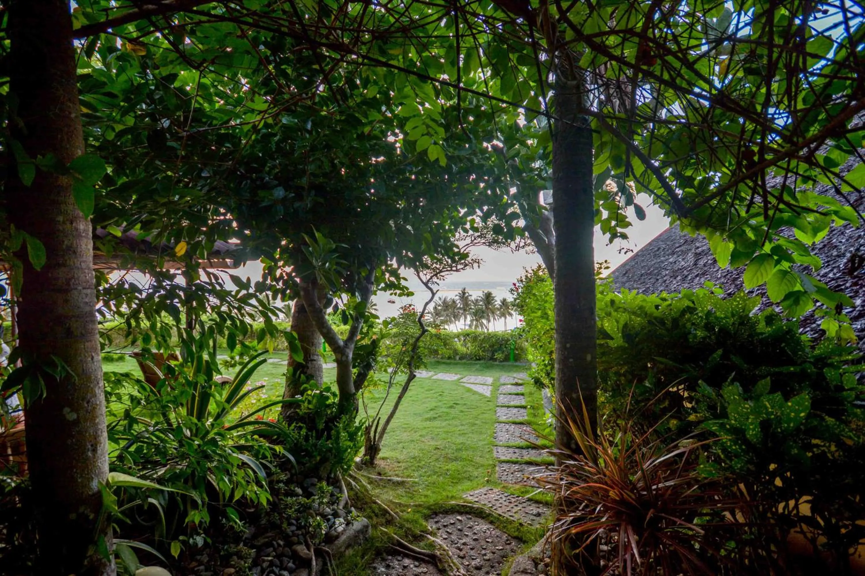 Garden in Ralph's Place