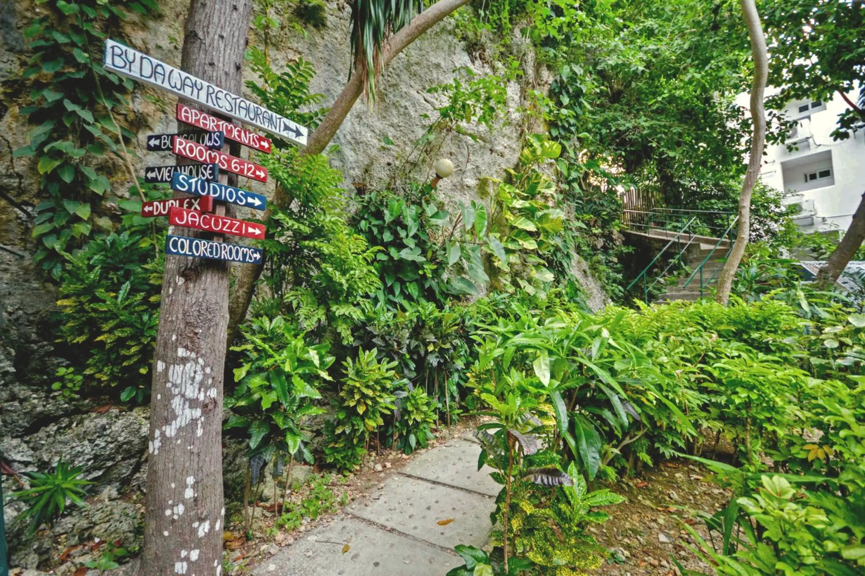 Natural landscape in Ralph's Place