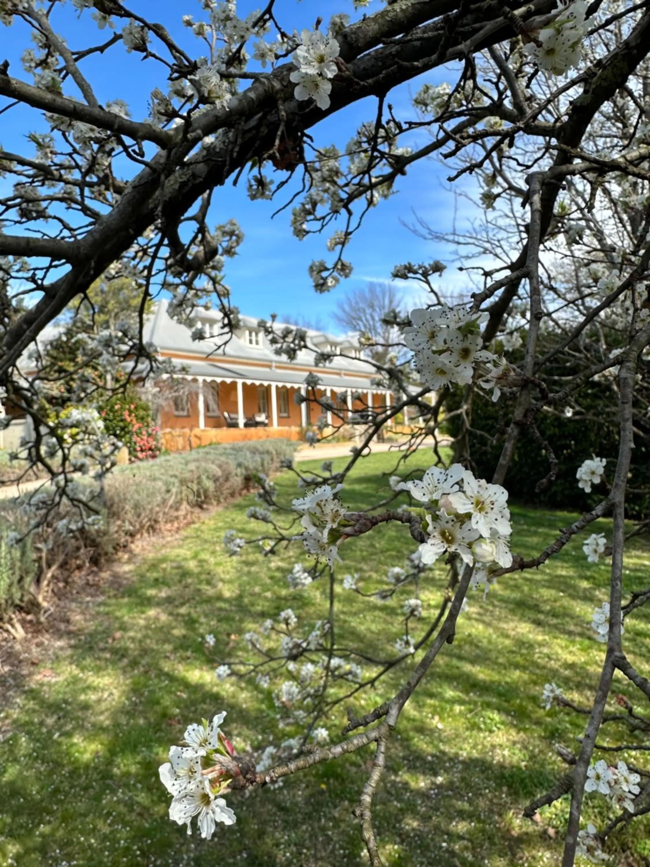 Fitzroy Inn Historic Retreat Mittagong