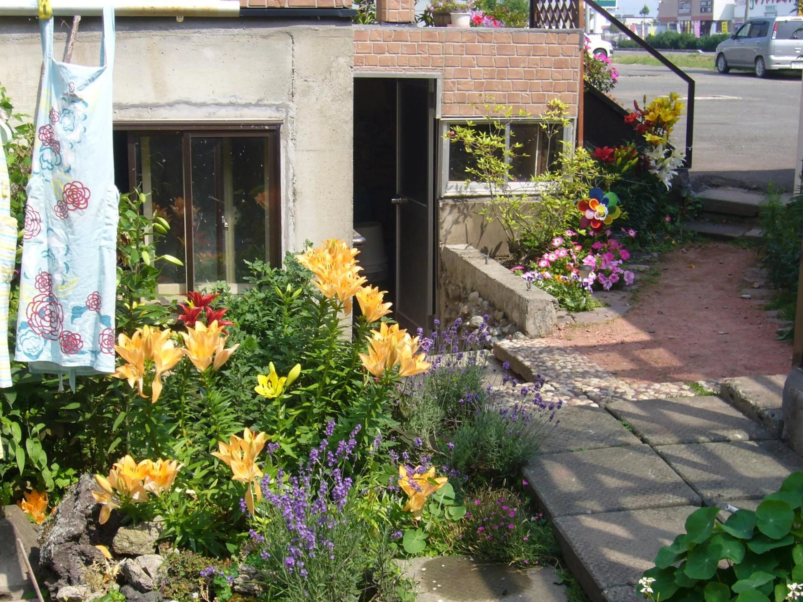 Spring in Minshuku Mutsukari