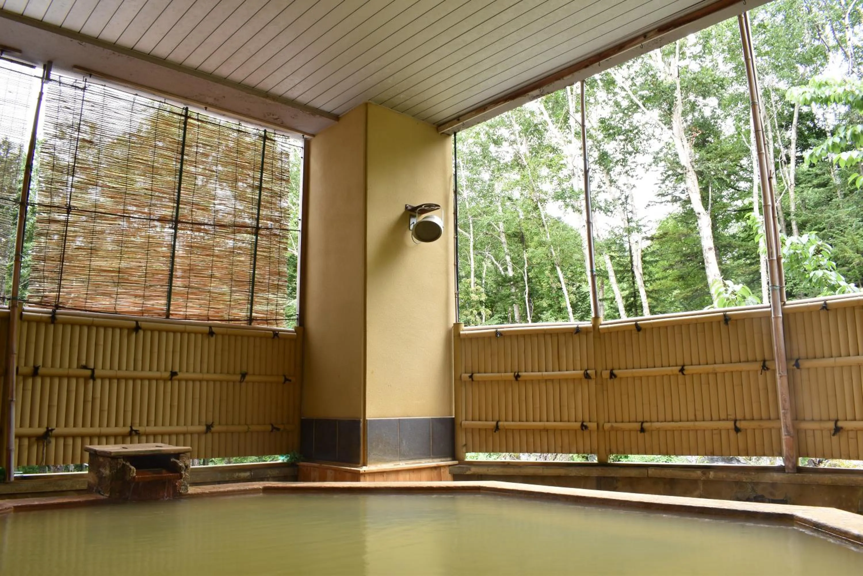 Hot Spring Bath in Biei Shirogane Onsen Hotel Park Hills