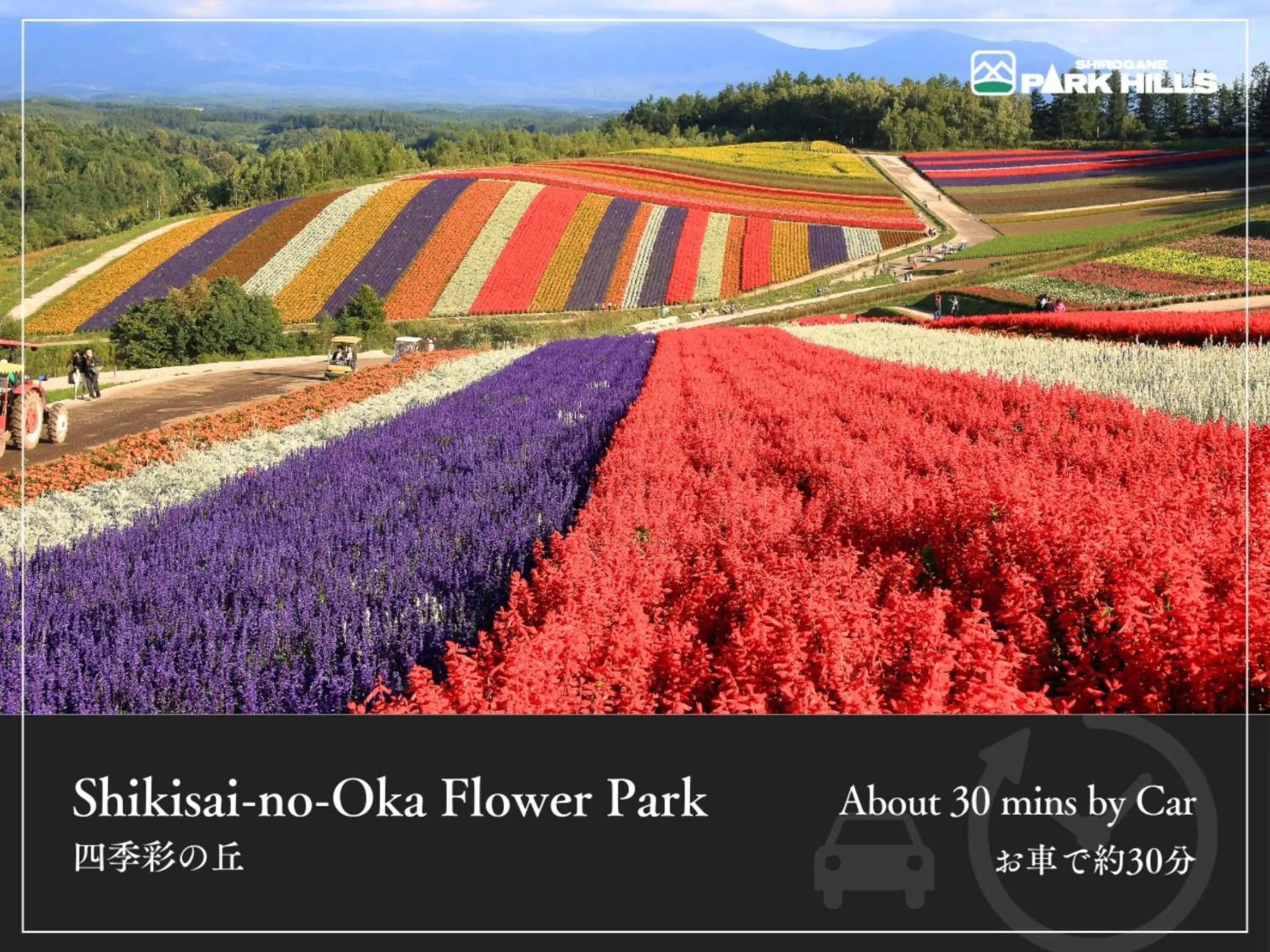 Nearby landmark in Biei Shirogane Onsen Hotel Park Hills