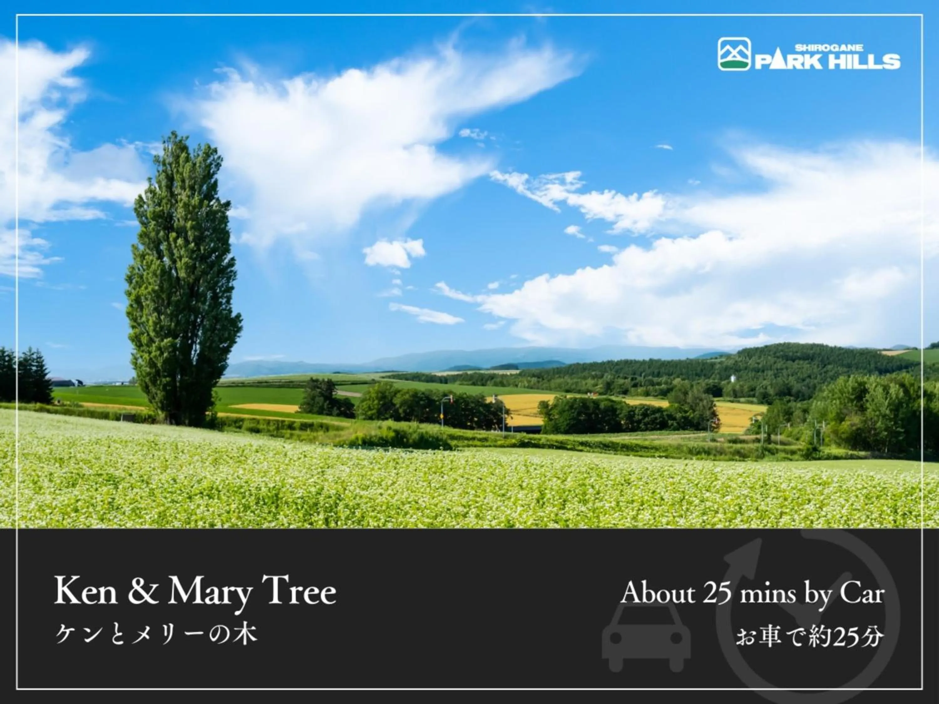 Nearby landmark in Biei Shirogane Onsen Hotel Park Hills