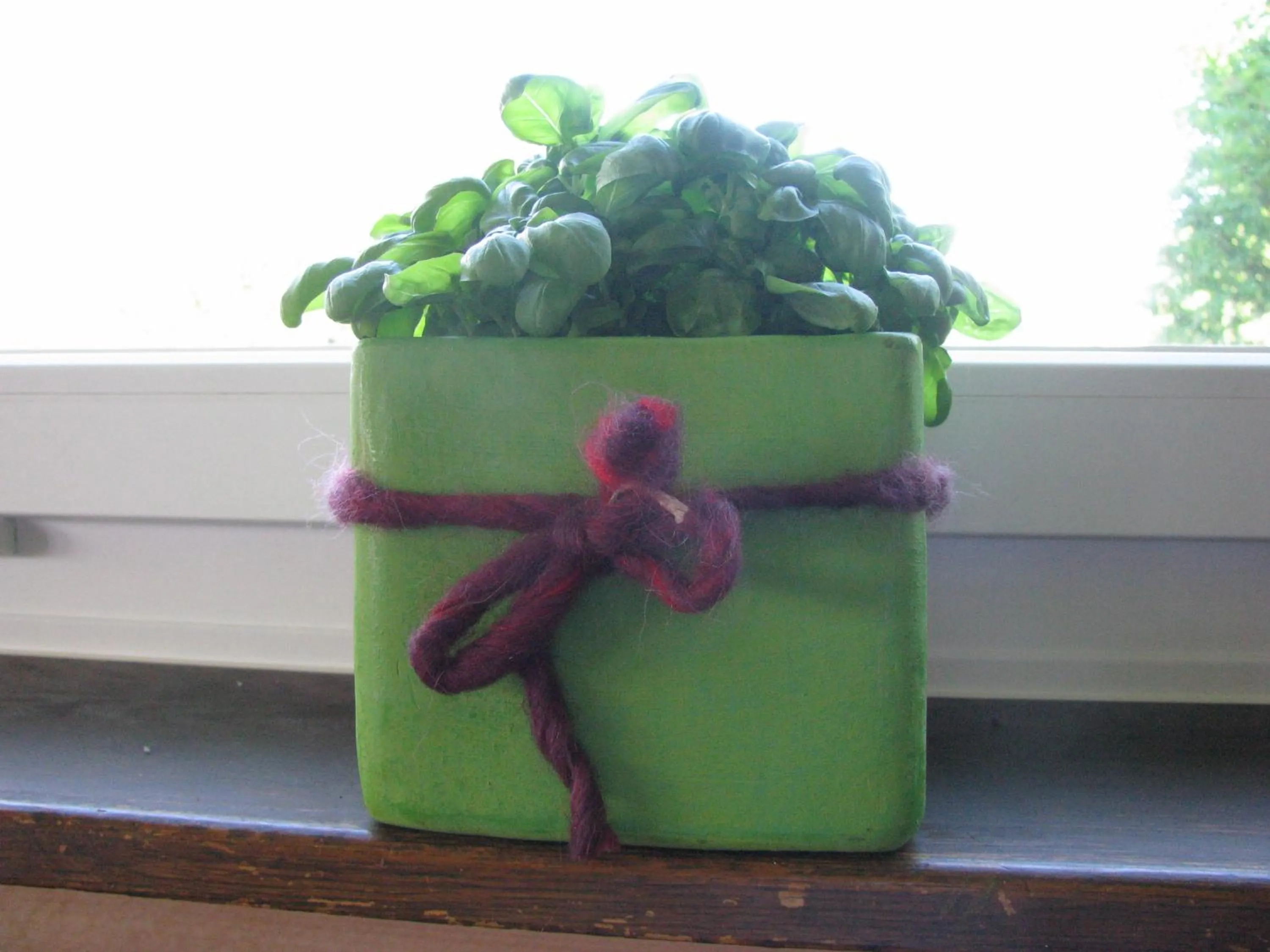 Other in Zimmer & z'Morgä Schönenboden