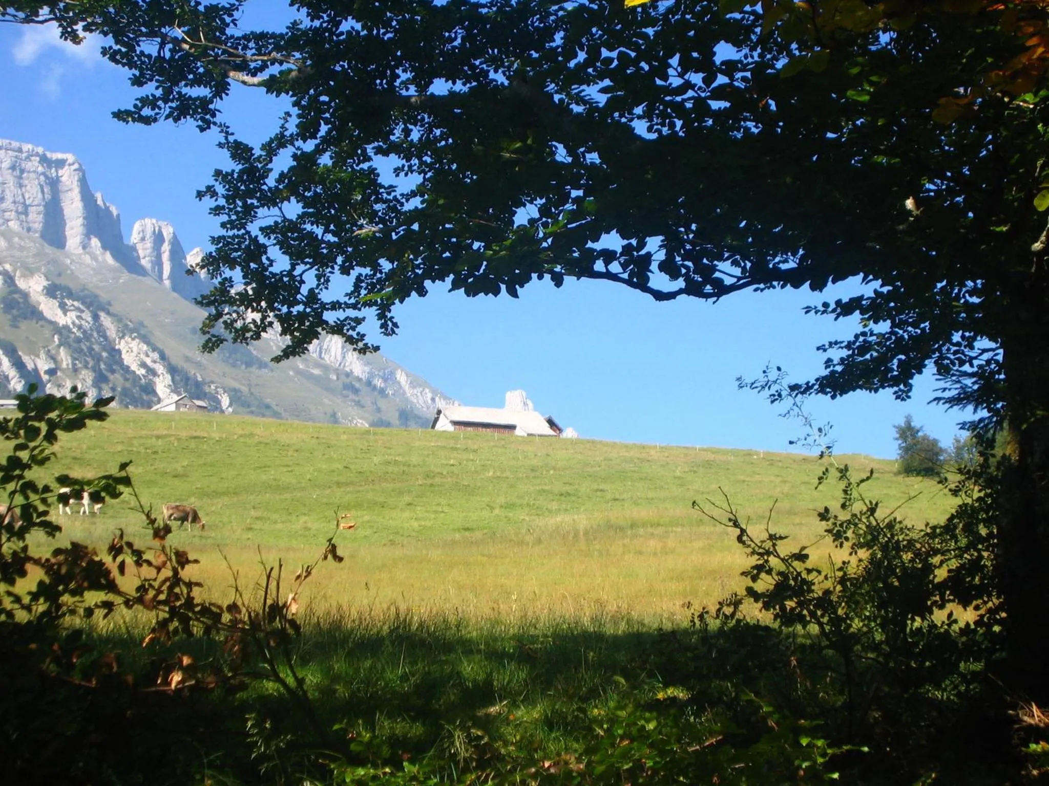 Garden in Zimmer & z'Morgä Schönenboden