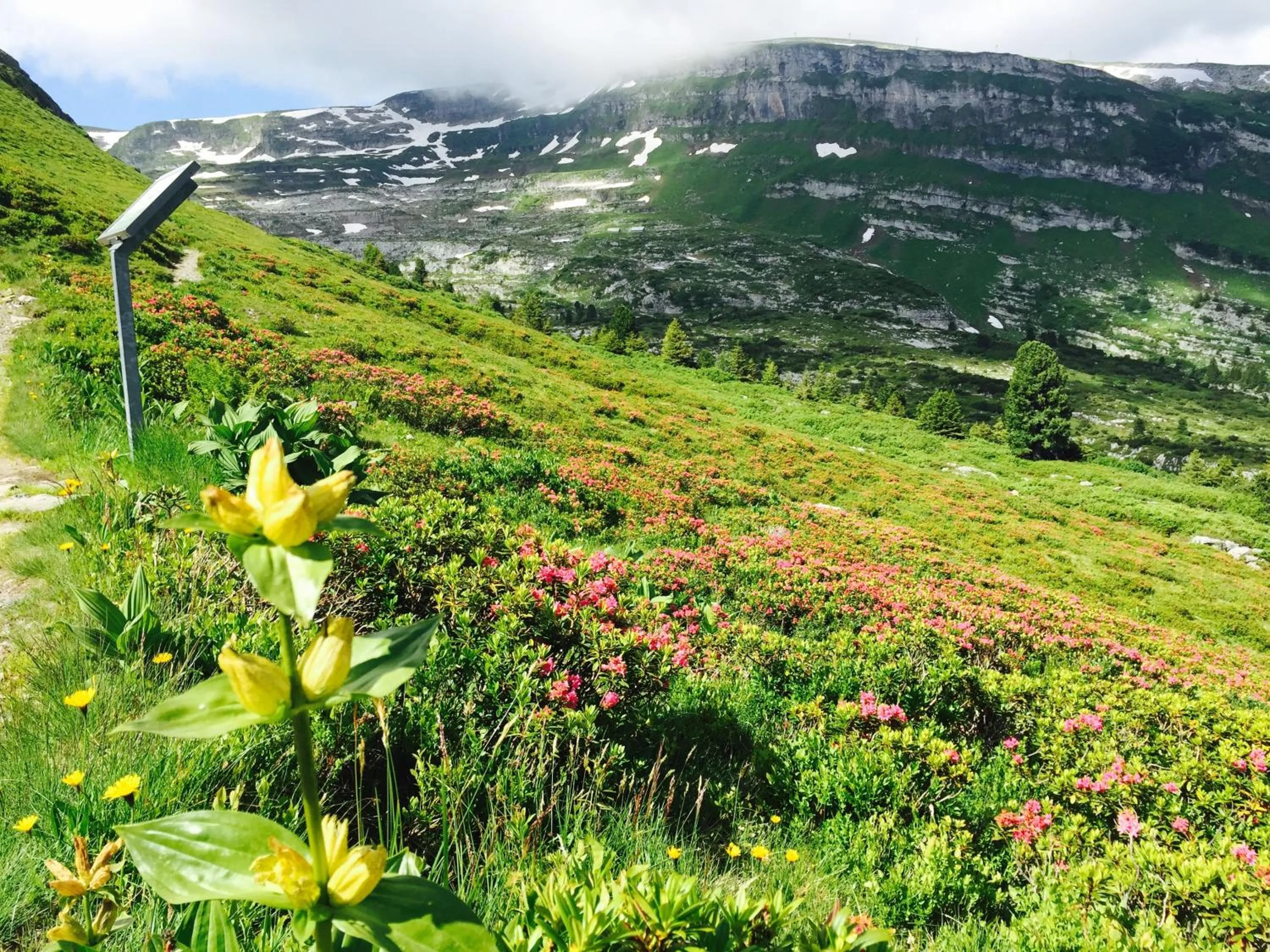 Natural landscape in Zimmer & z'Morgä Schönenboden